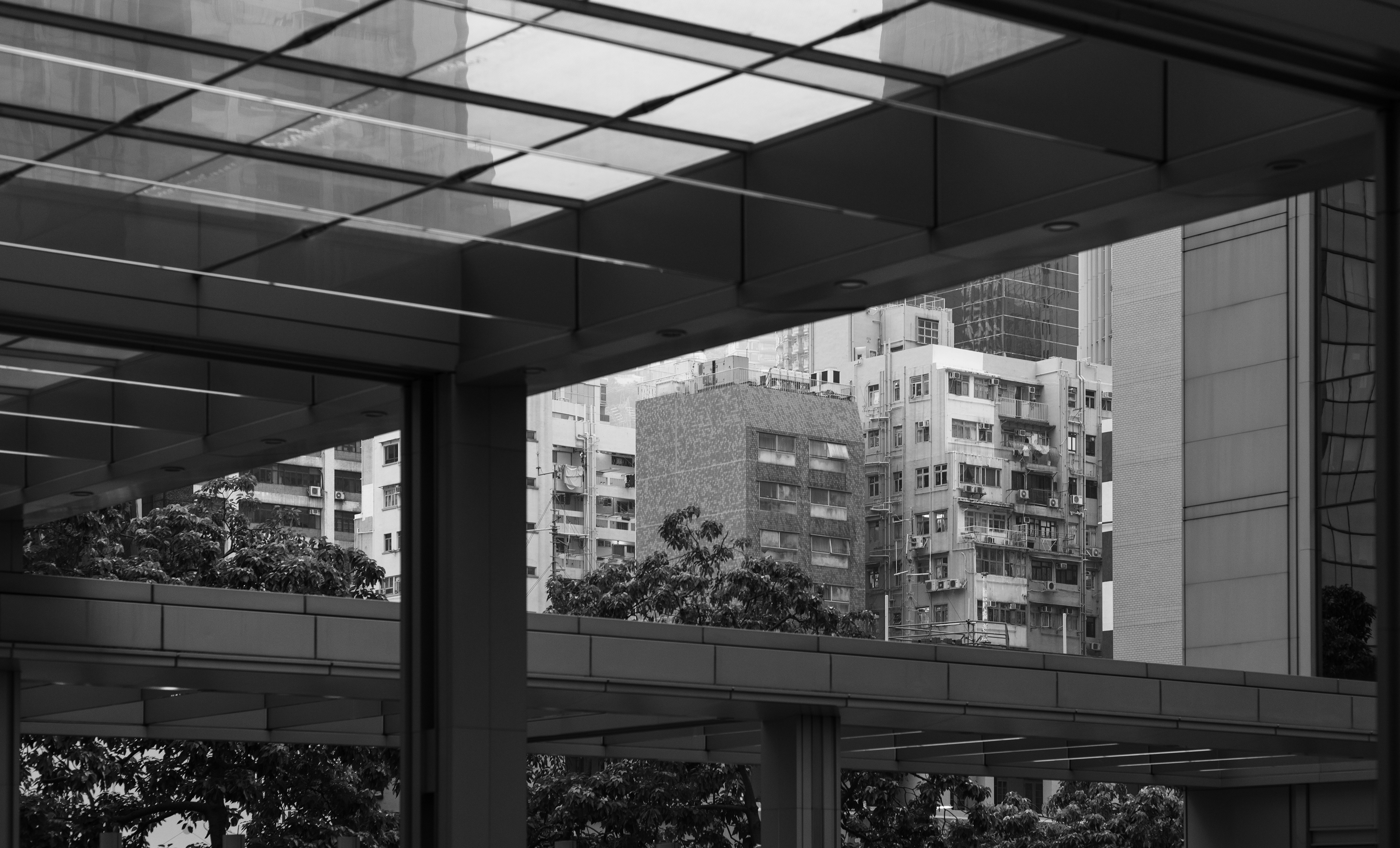 [LEICA M11, Voigtlander Nokton 75mm f/1.5 Aspherical]