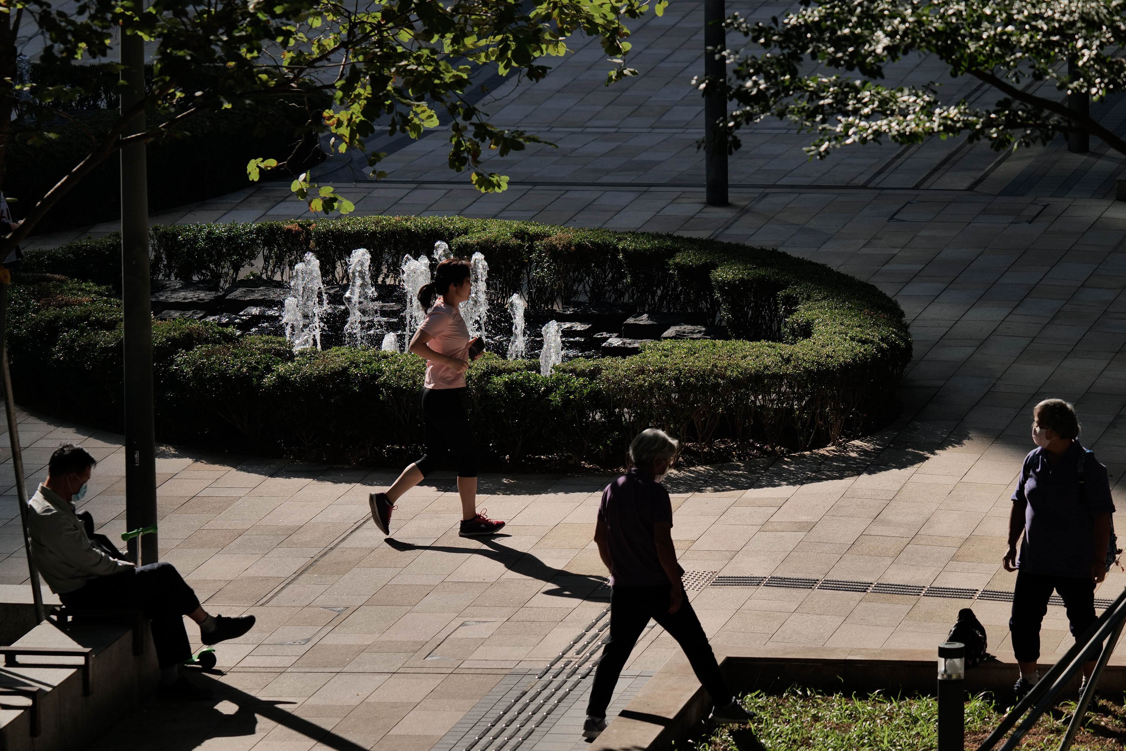 [Panasonic LUMIX DC-S5, Sigma 150-600mm F5-6.3 DG DN OS | Sports 021]