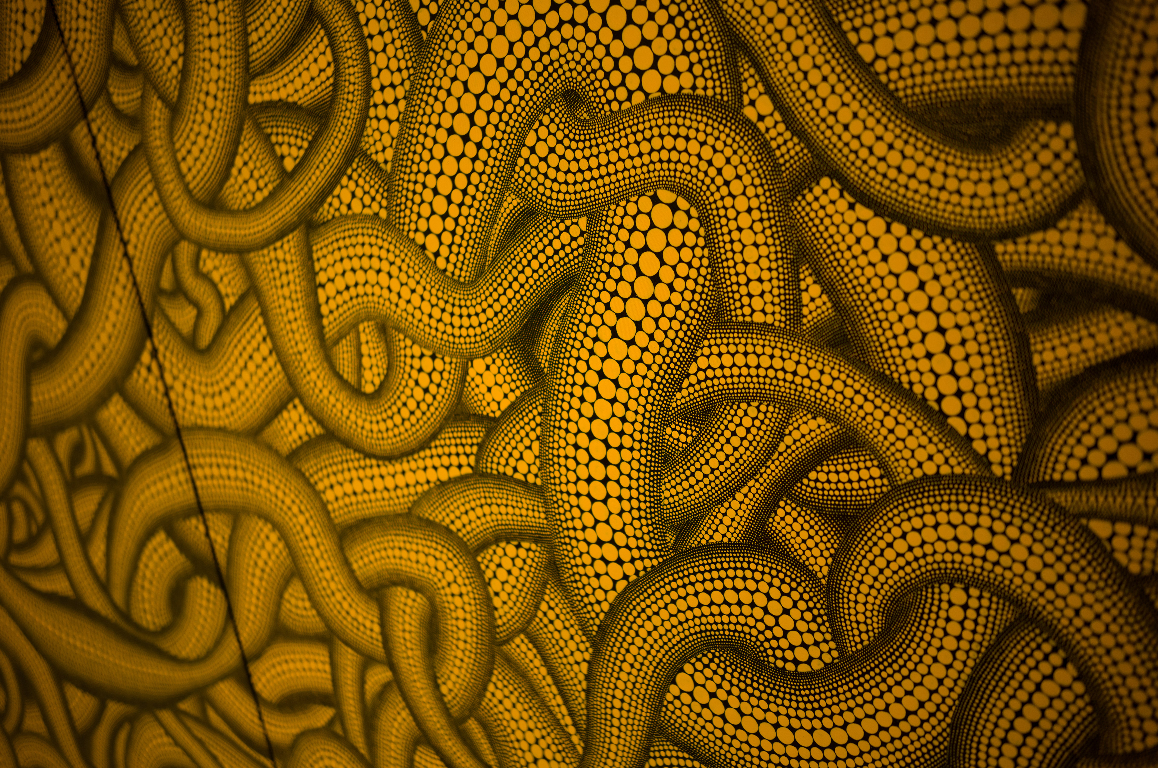 [LEICA M11, Voigtlander NOKTON Vintage Line 35mm f/1.5 Aspherical]