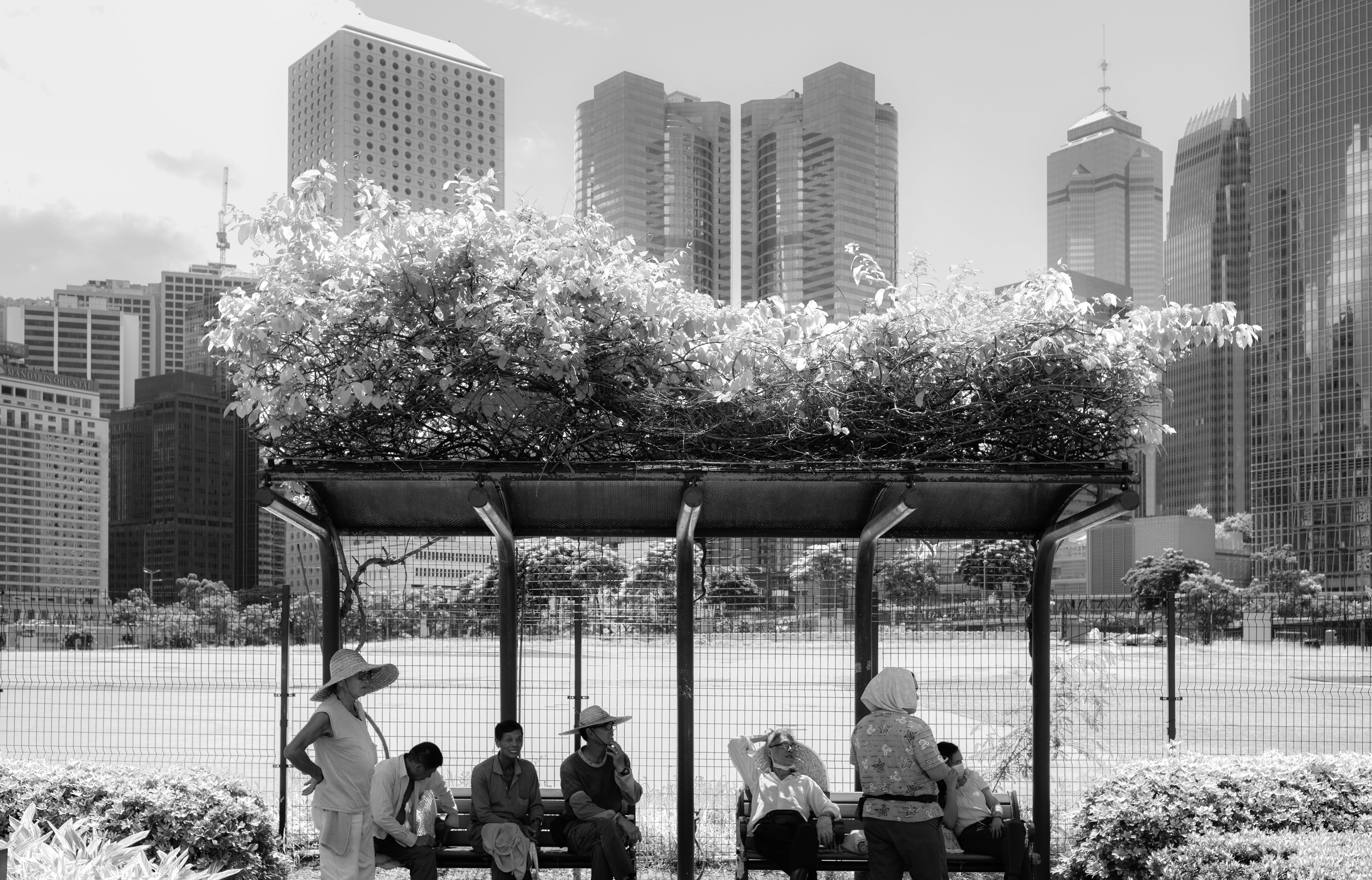 Central and Western District Promenade – Central Section [LEICA M10, LEICA Summicron-M 35mm f/2 ASPH, Software B/W Infrared Filter]