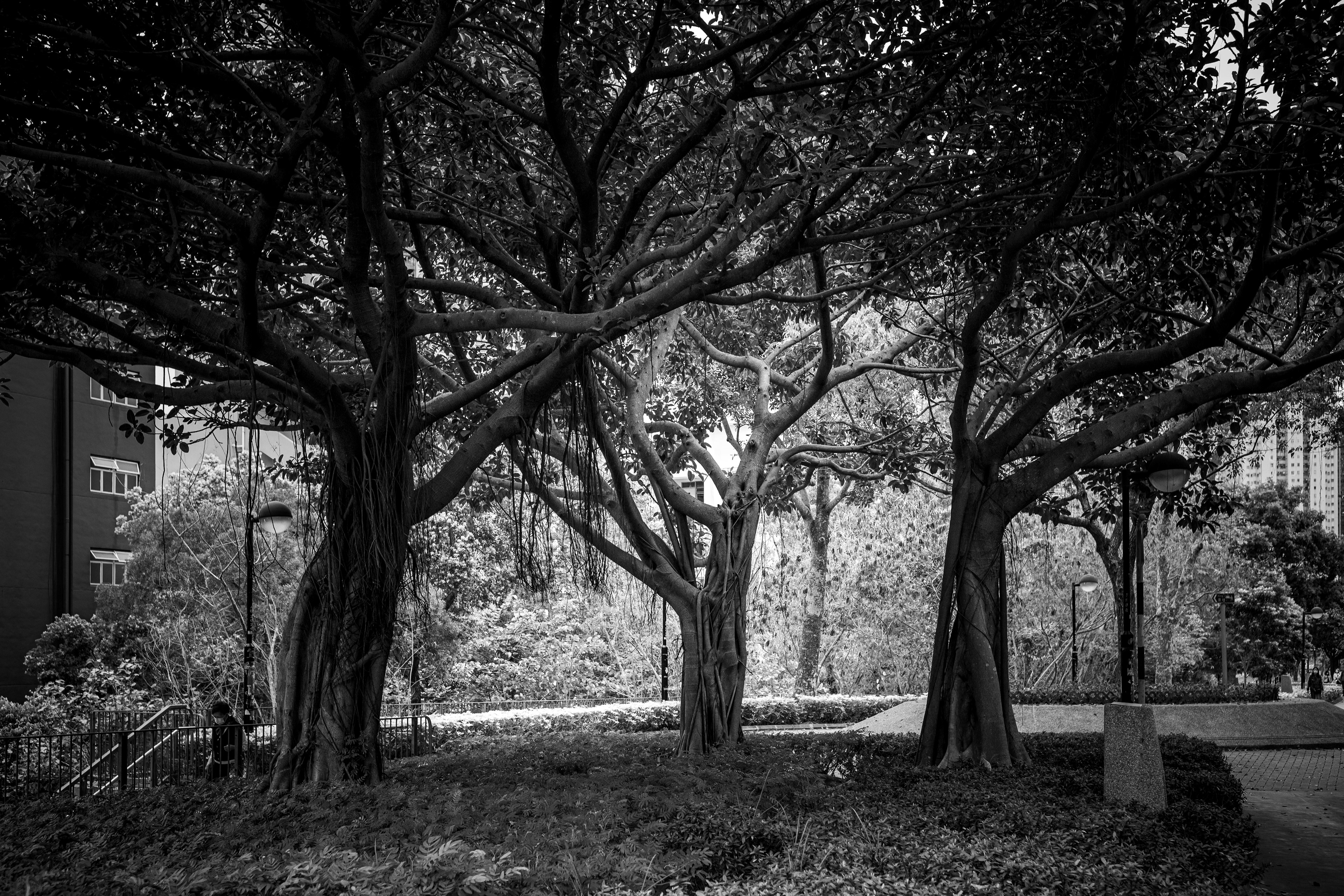 [LEICA M10, LEICA Summicron-M 35mm f/2 ASPH]