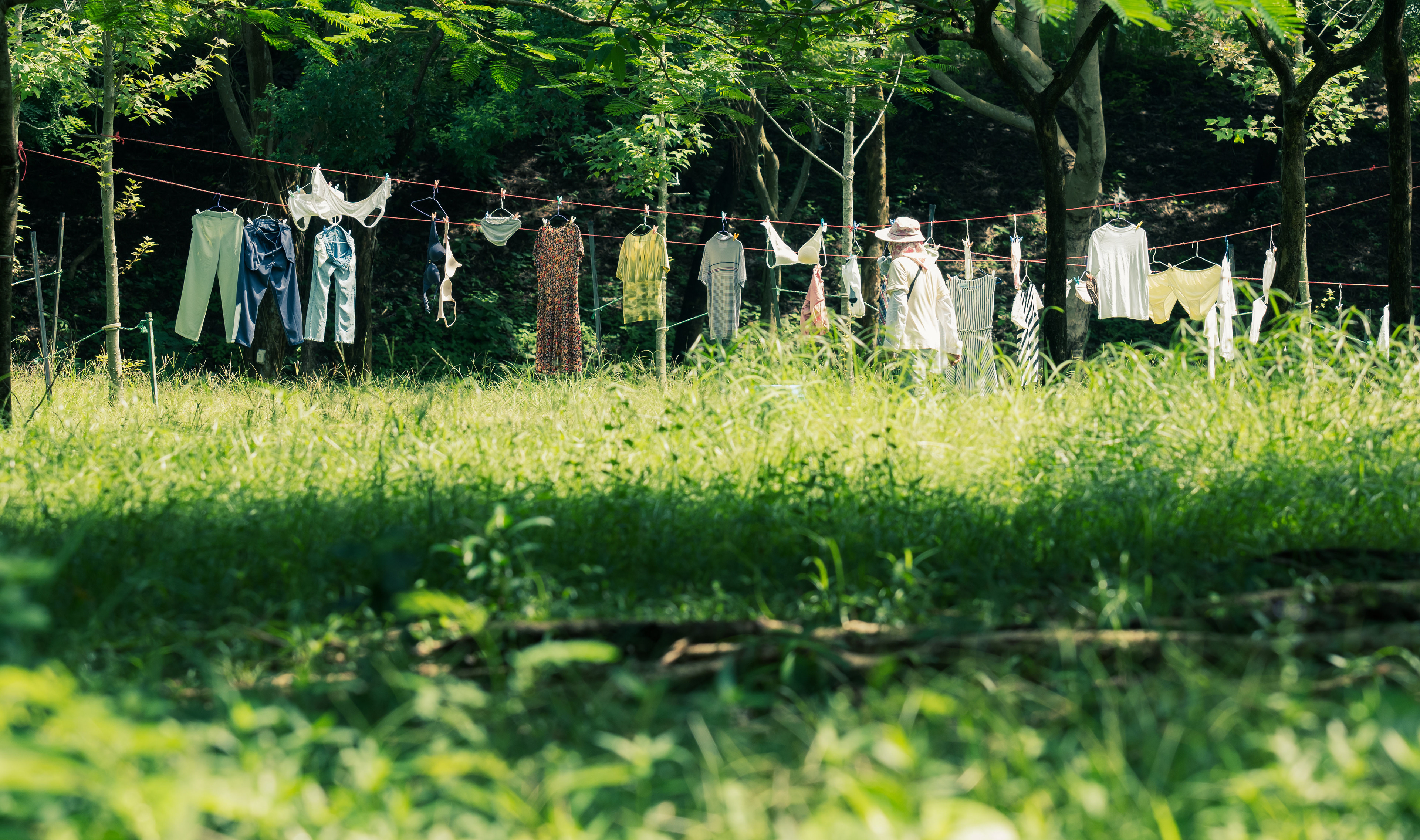 Testing my new lens, it's sharp but heavy. A monopod will be a great companion. [Panasonic LUMIX DC-S5, Sigma 150-600mm F5-6.3 DG DN OS | Sports 021]