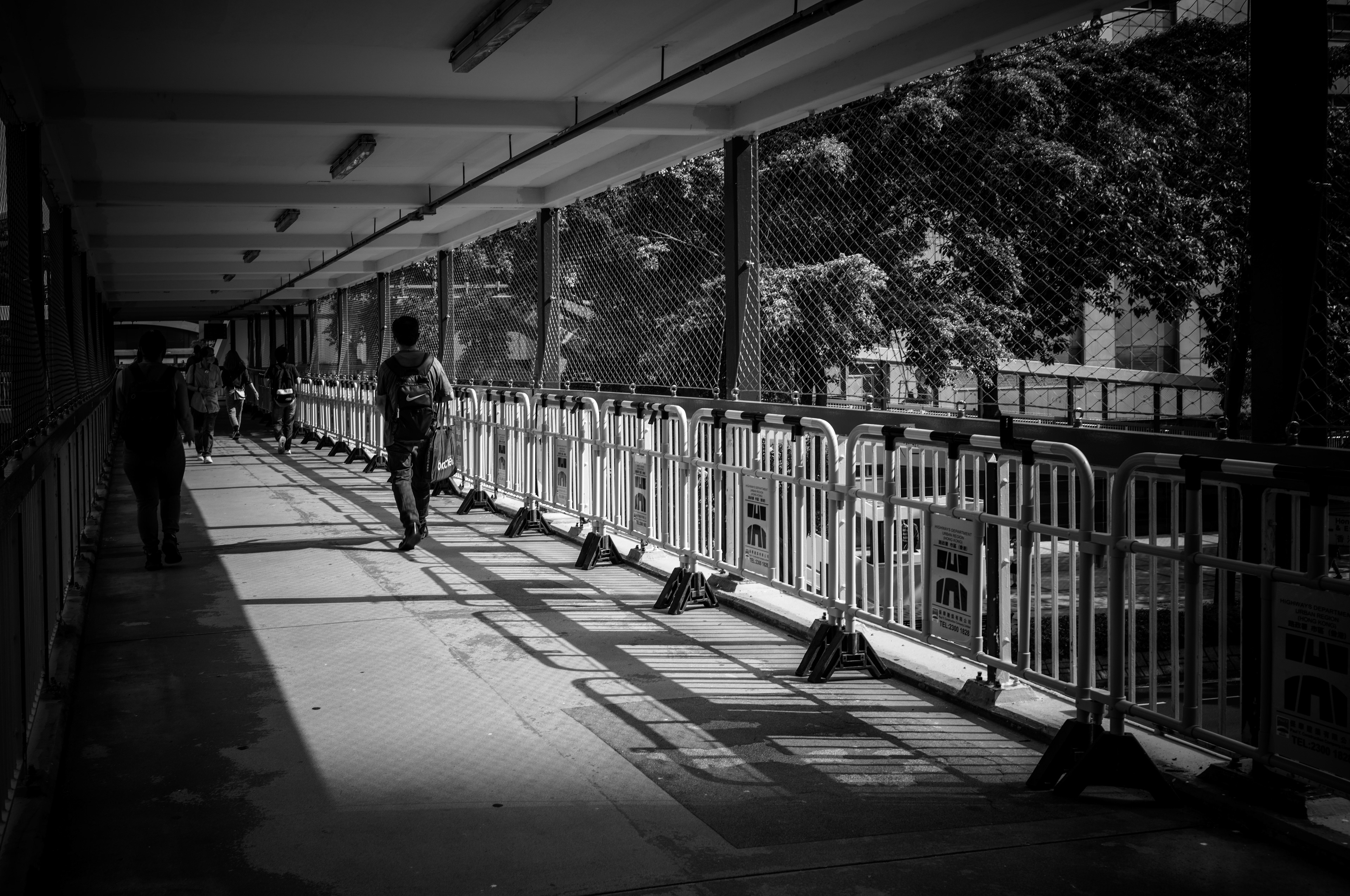 [LEICA M11, LEICA Summicron-M 35mm f/2 ASPH]