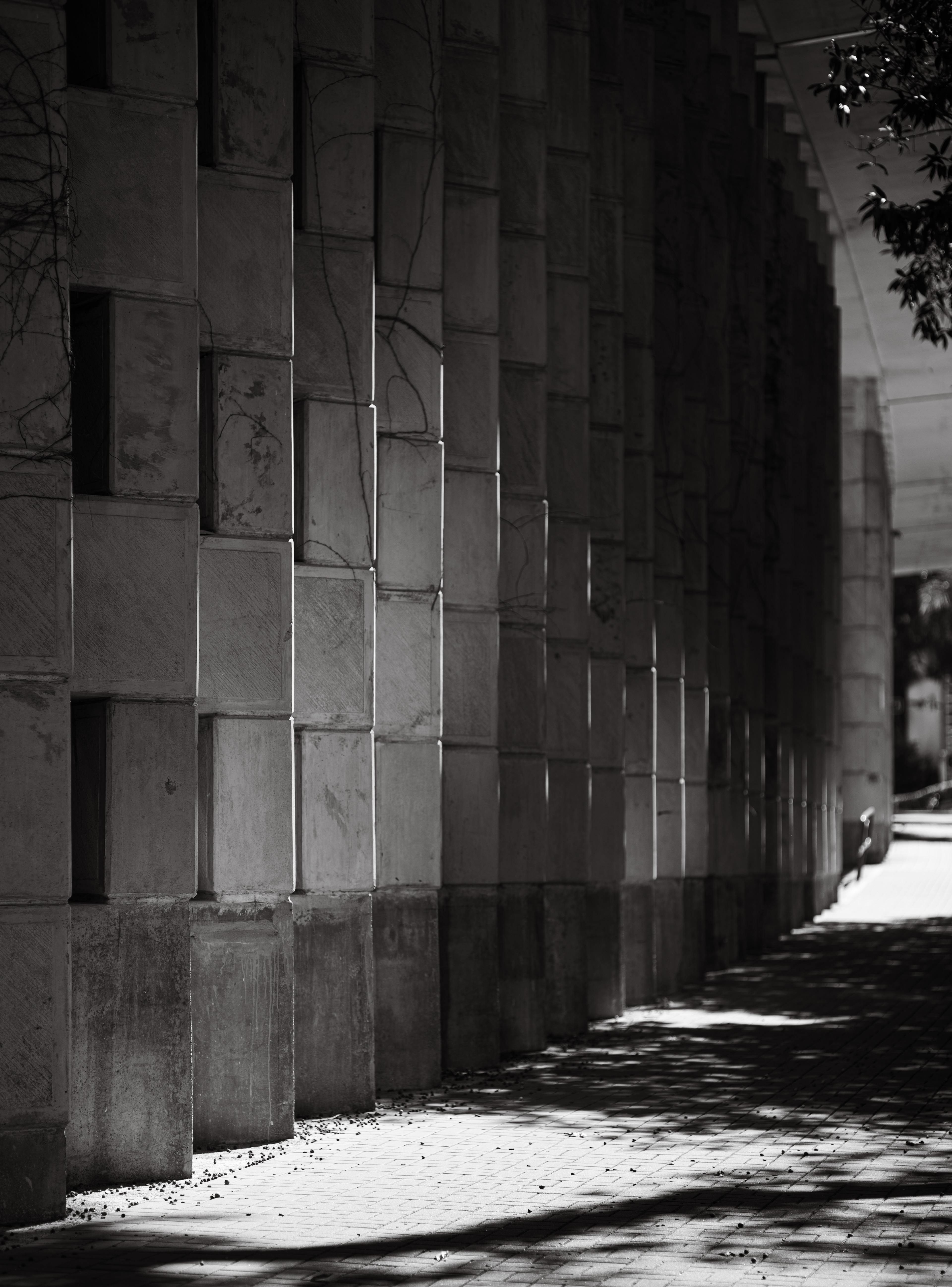 [LEICA M11, Voigtlander Nokton 75mm f/1.5 Aspherical]