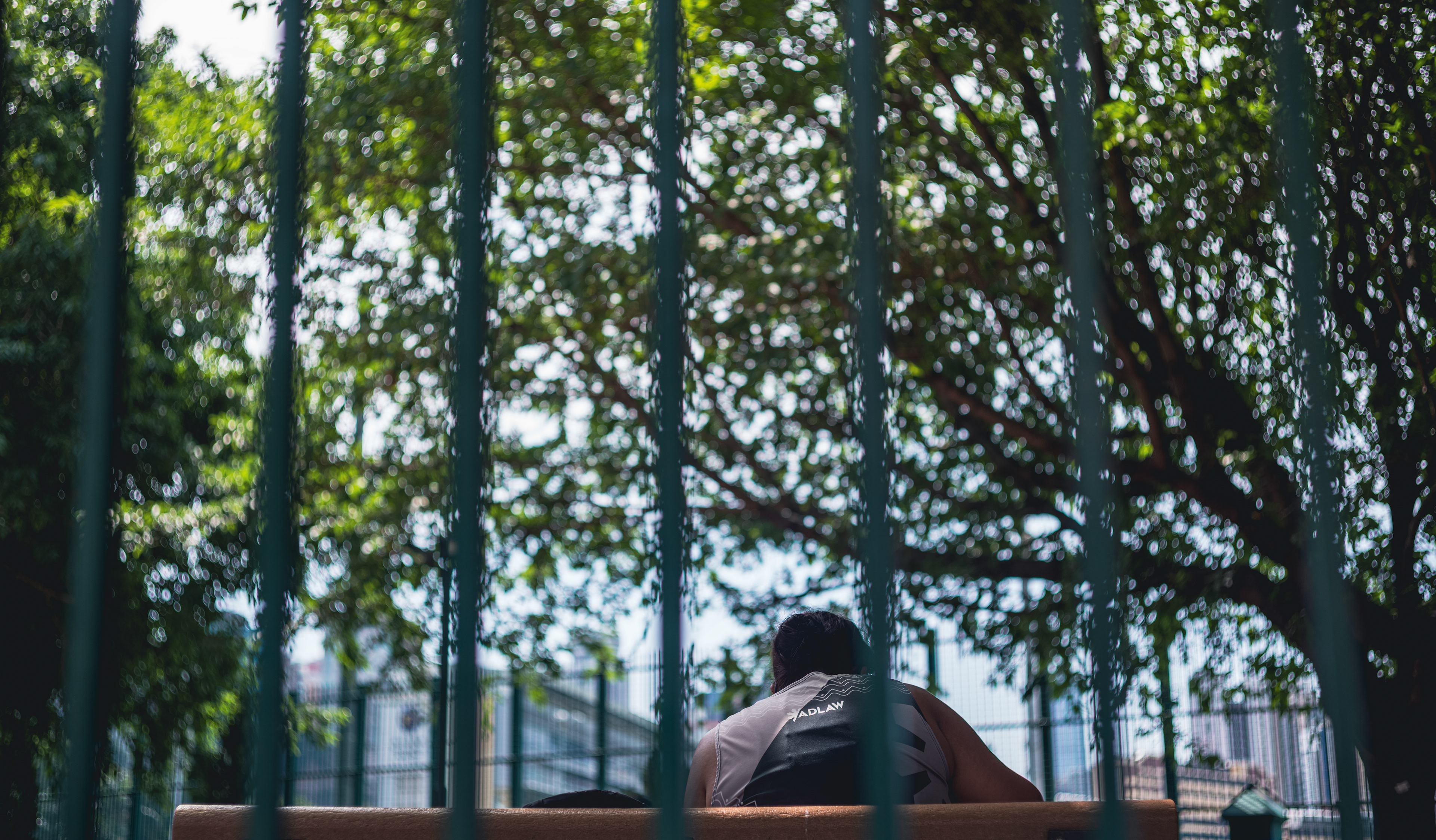 Ballssss... [LEICA M11, LEICA SUMMICRON 50mm f/2 Rigid]