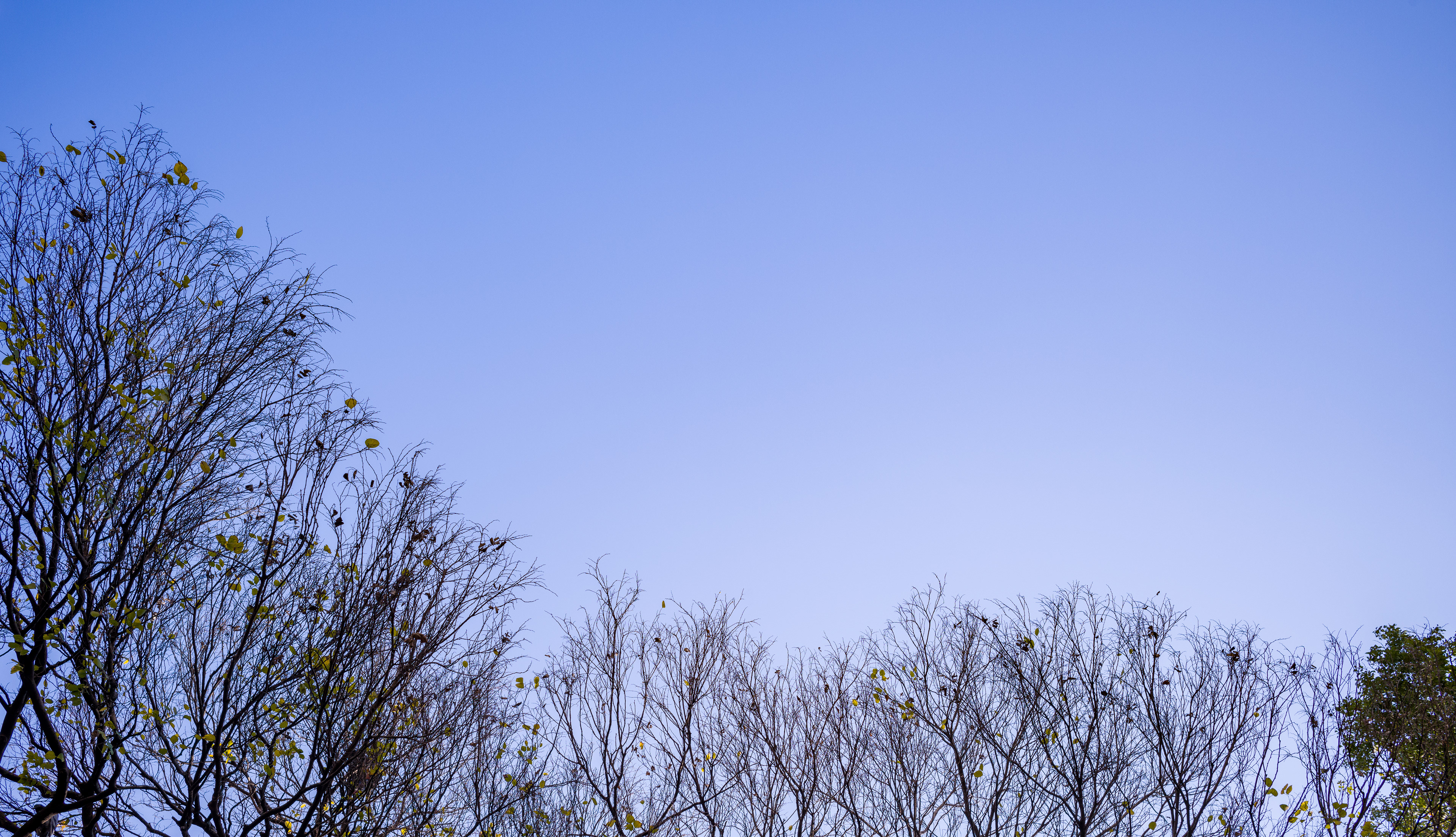 [LEICA M11, LEICA Summicron-M 35mm f/2 ASPH]