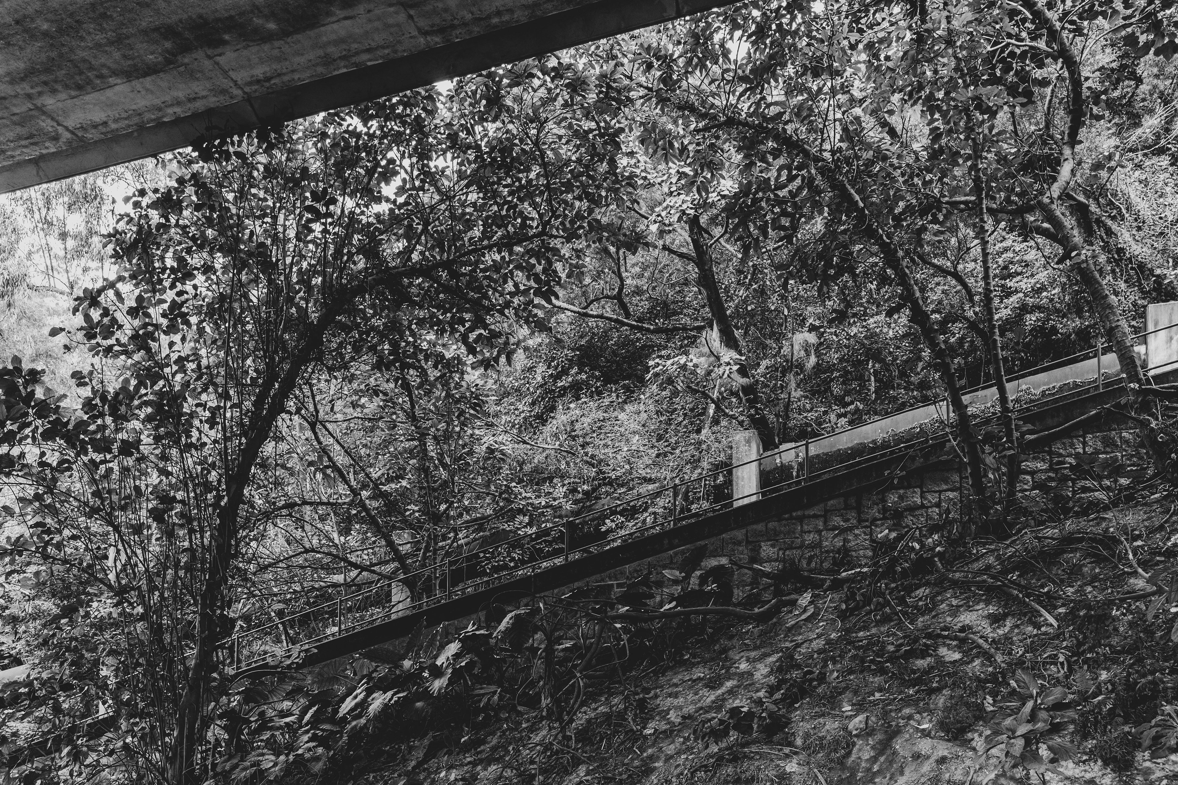 [Leica M10, Zeiss Biogon T* 2/35 ZM]