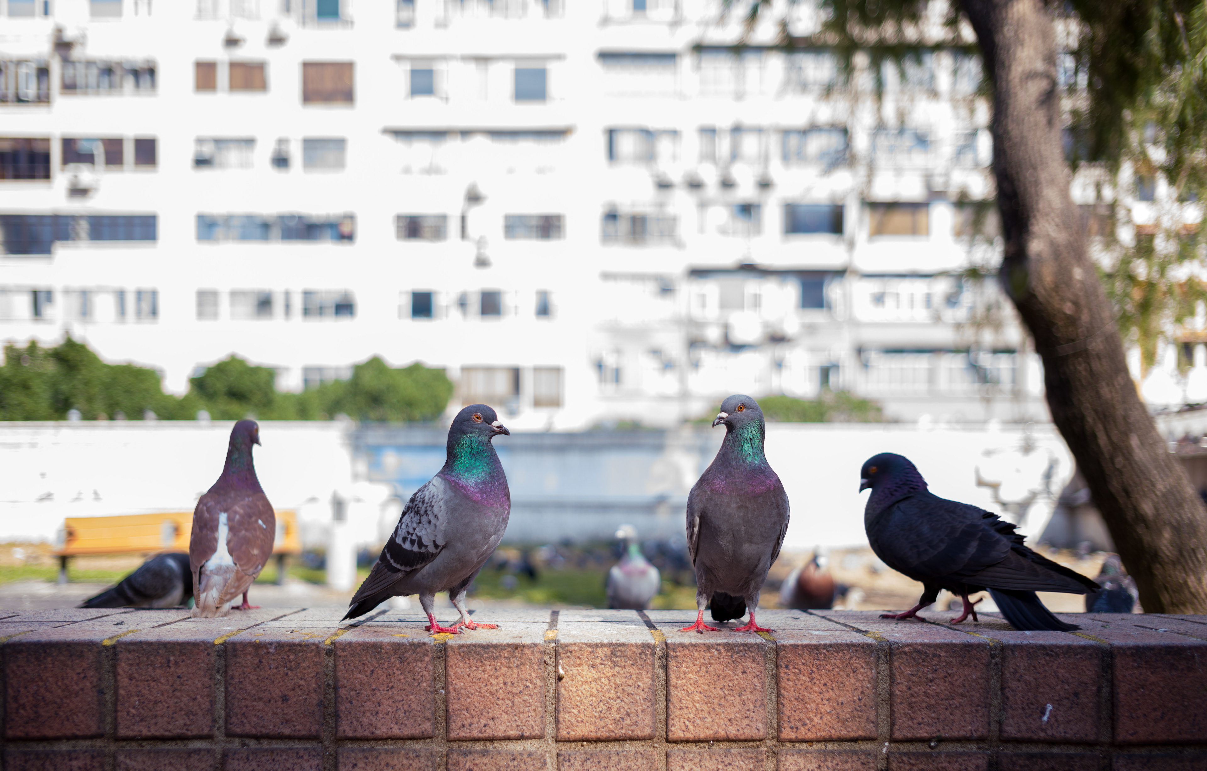 [LEICA M11, LEICA Summicron-M 35mm f/2 ASPH]