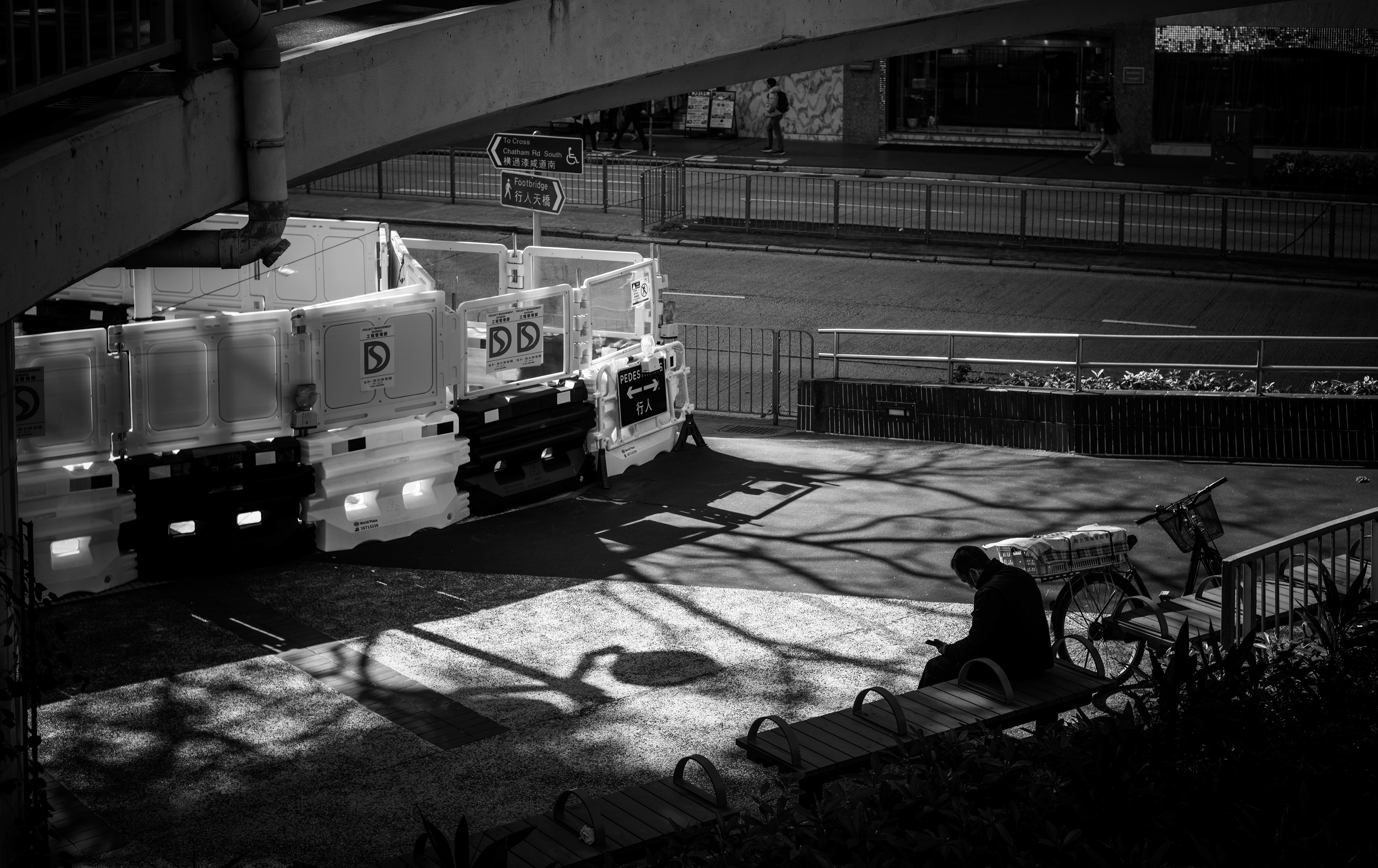 [LEICA M11, LEICA SUMMICRON 50mm f/2 Rigid]