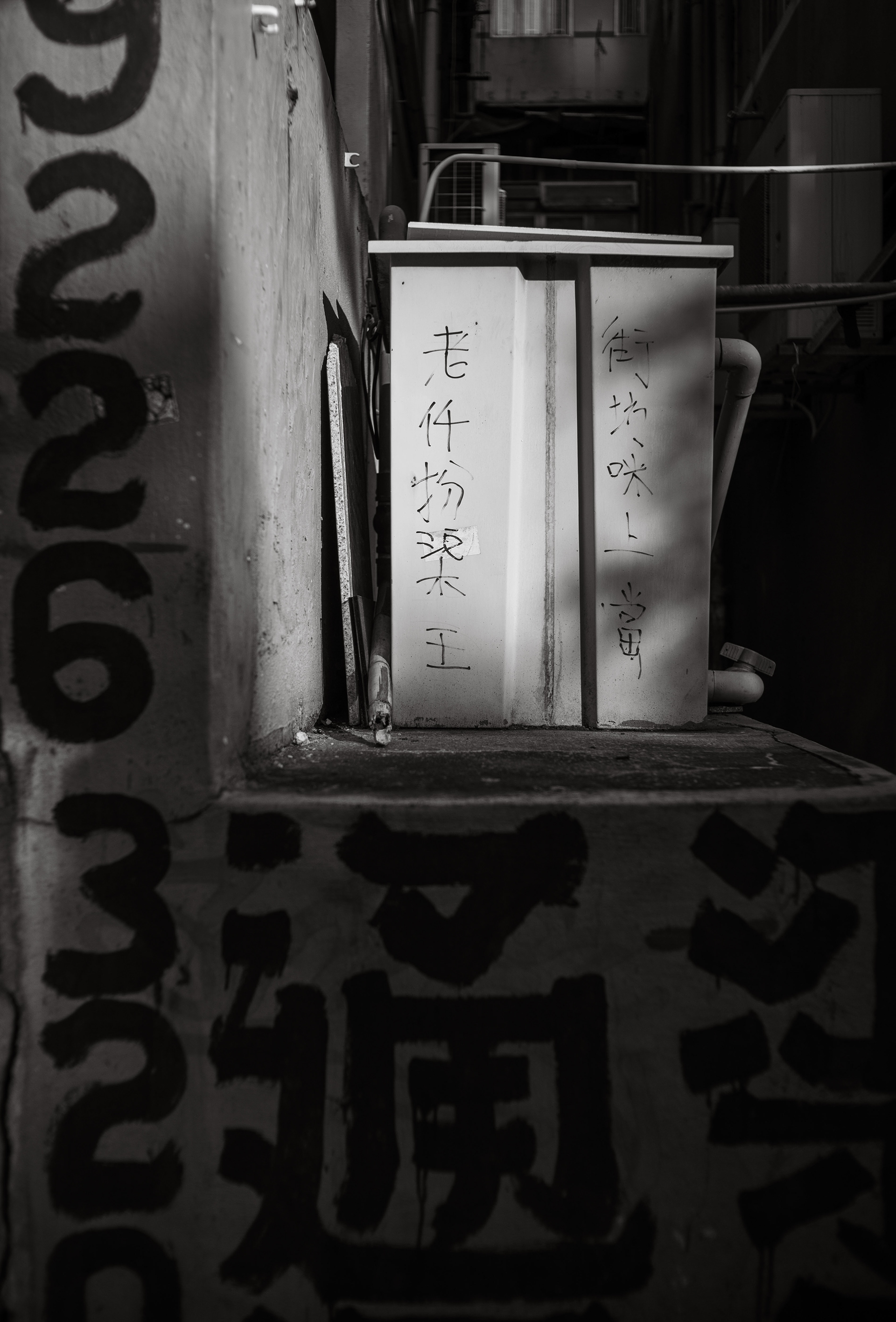 老仟扮渠王，街坊咪上當 [Panasonic LUMIX DC-S5, LEICA Summicron-M 35mm f/2 ASPH]