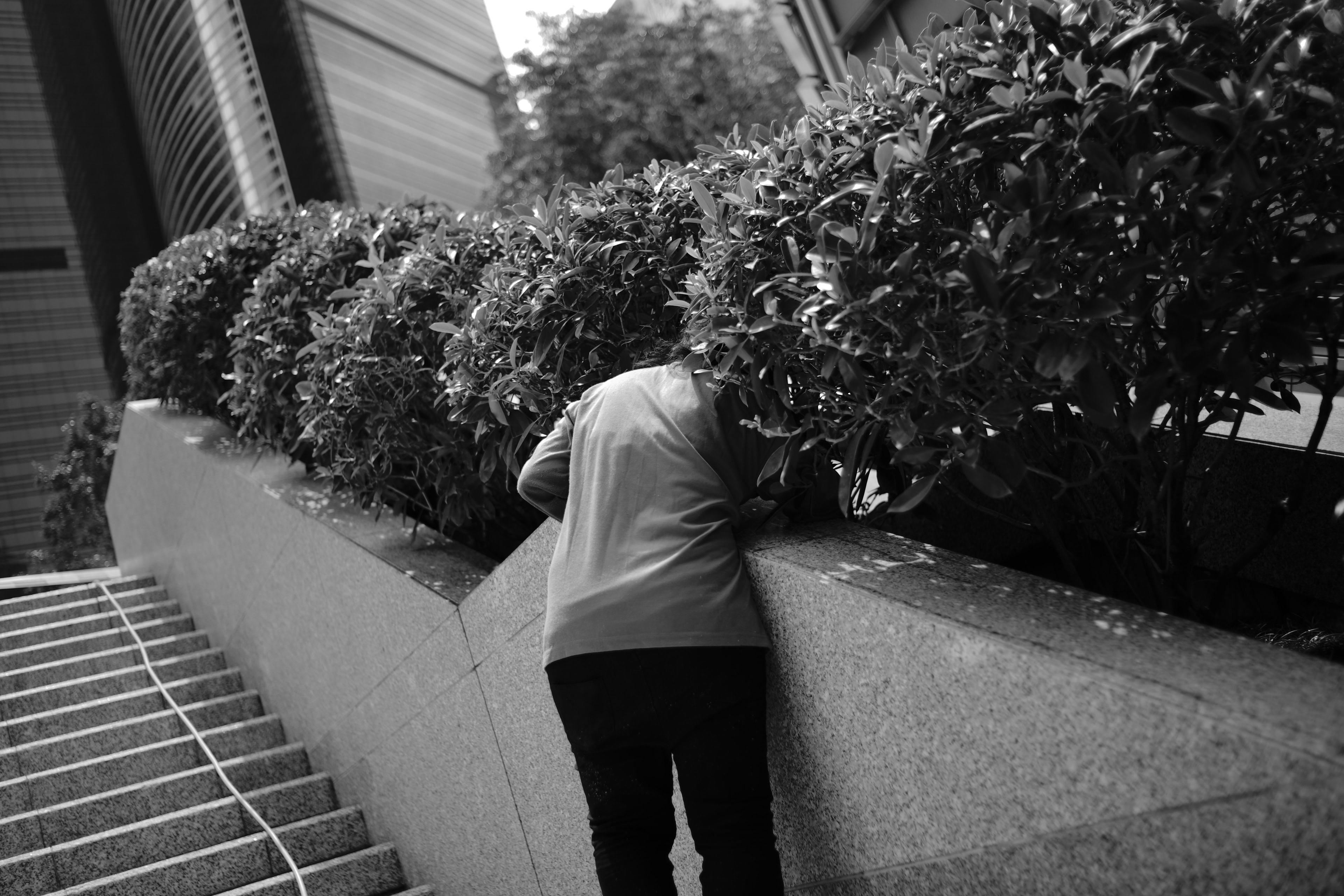 [LEICA M10, LEICA Summicron-M 35mm f/2 ASPH]