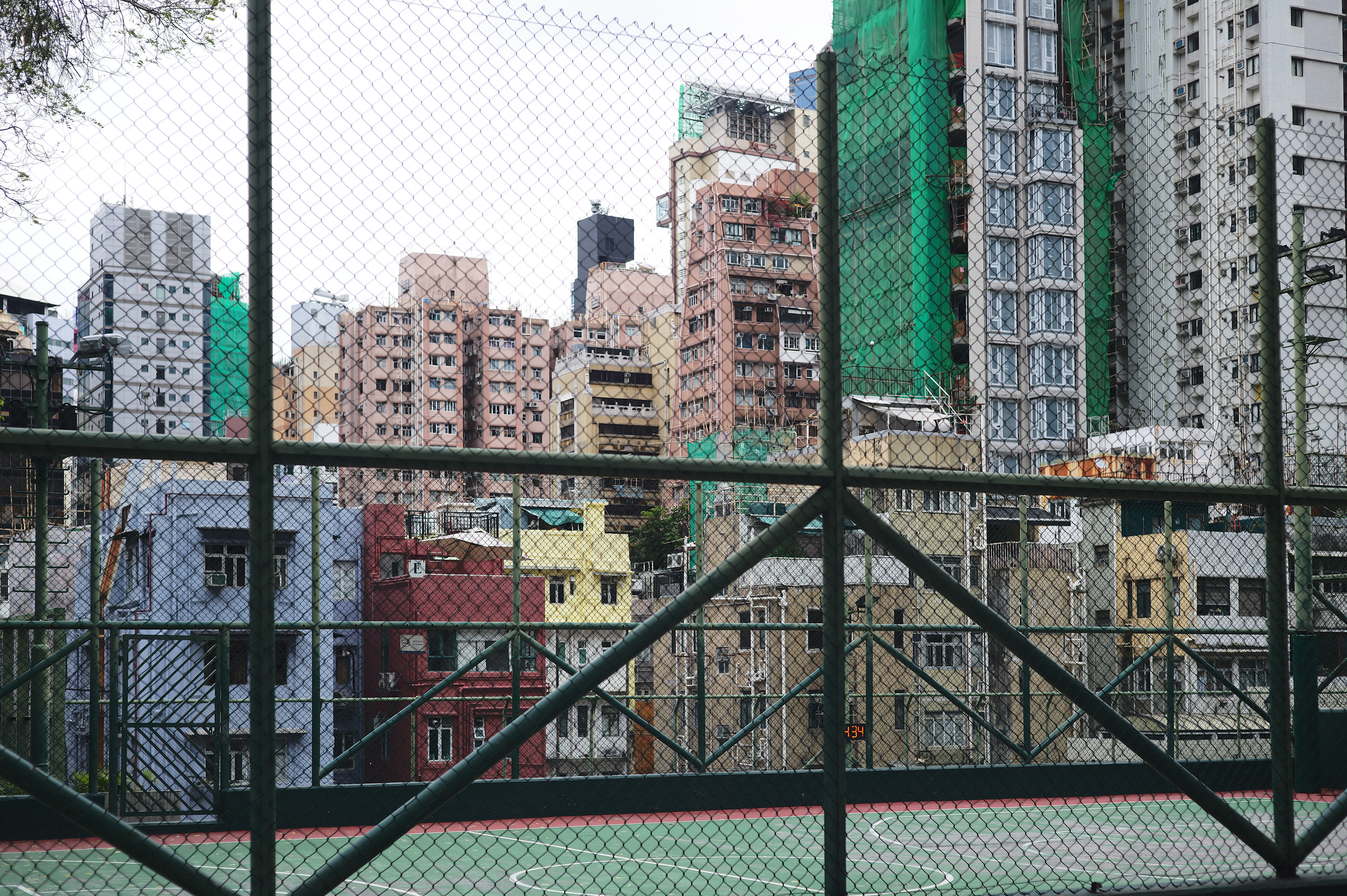 [LEICA M11, LEICA SUMMICRON 50mm f/2 Rigid]