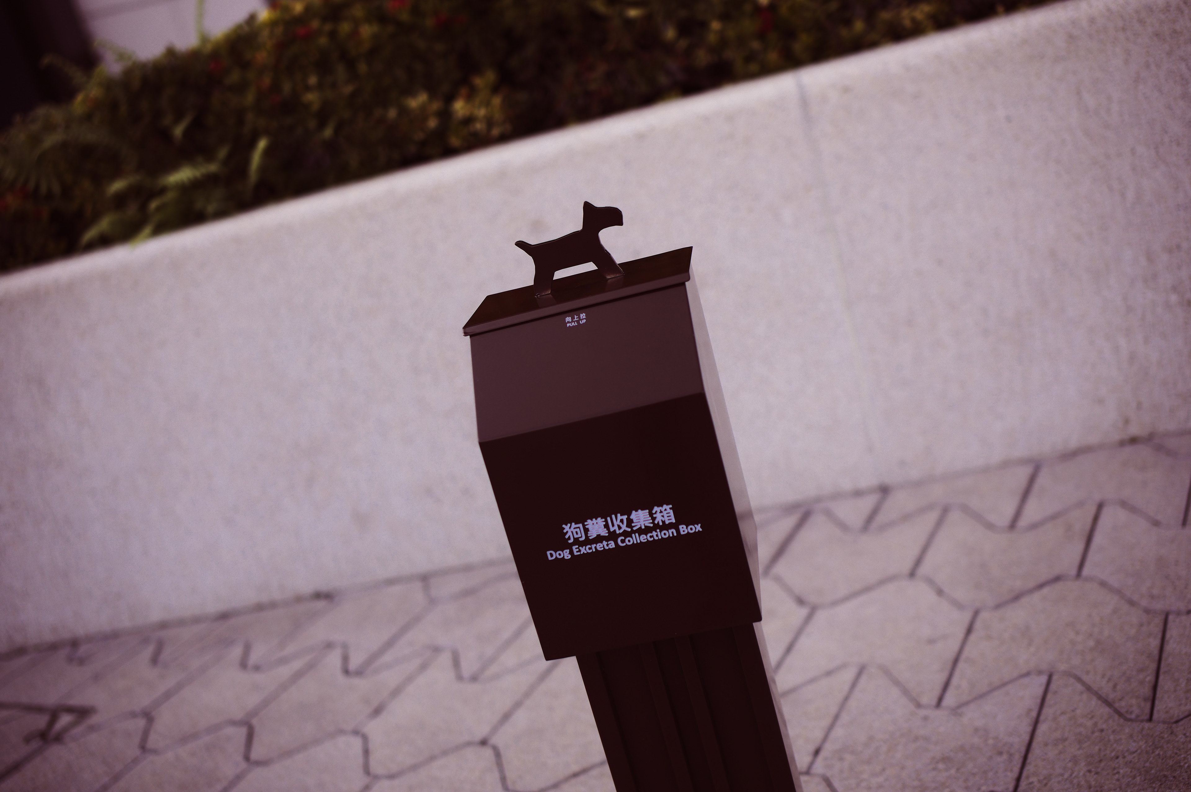 [LEICA M11, Voigtlander NOKTON Vintage Line 35mm f/1.5 Aspherical]