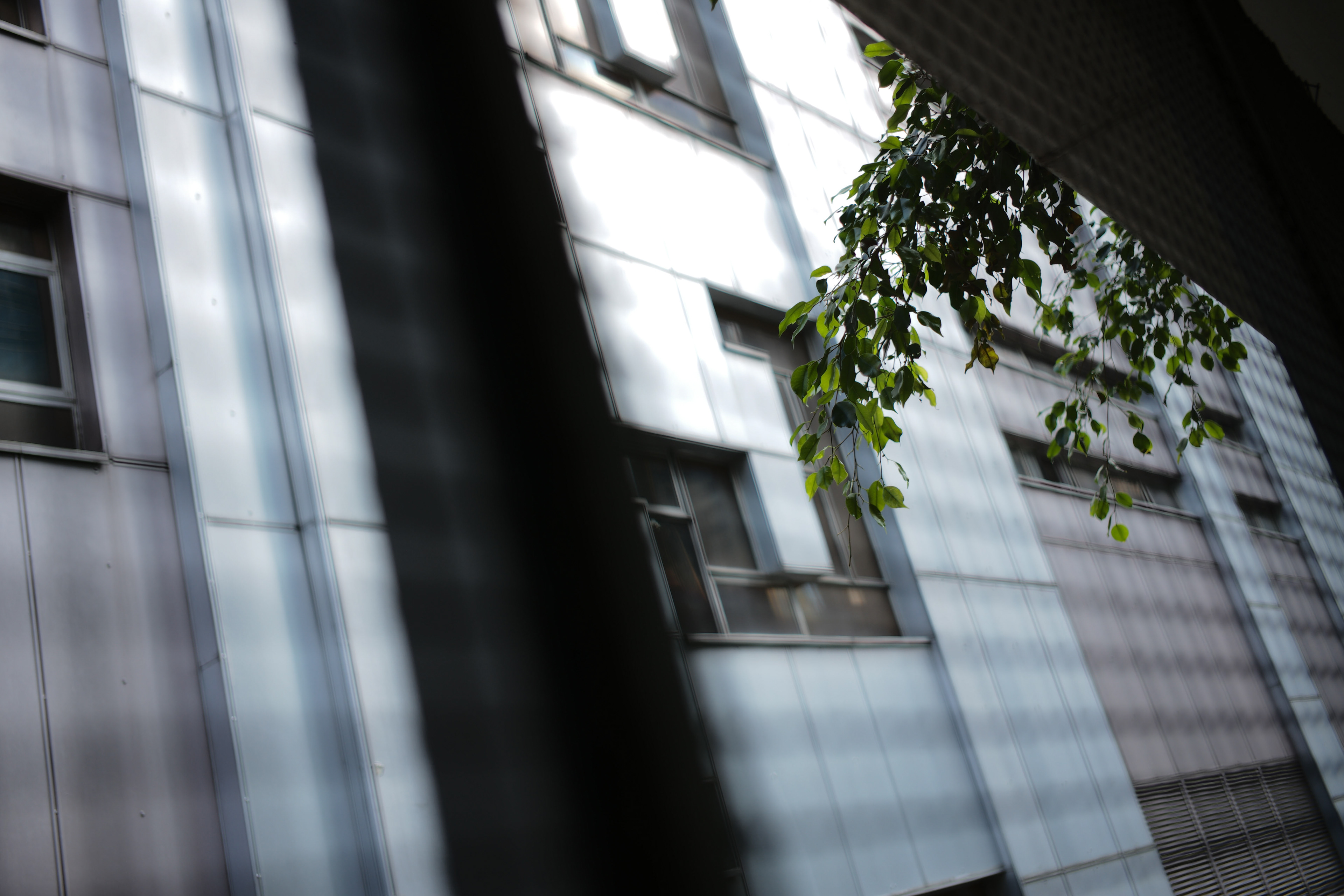 [LEICA M10, LEICA Summicron-M 35mm f/2 ASPH]