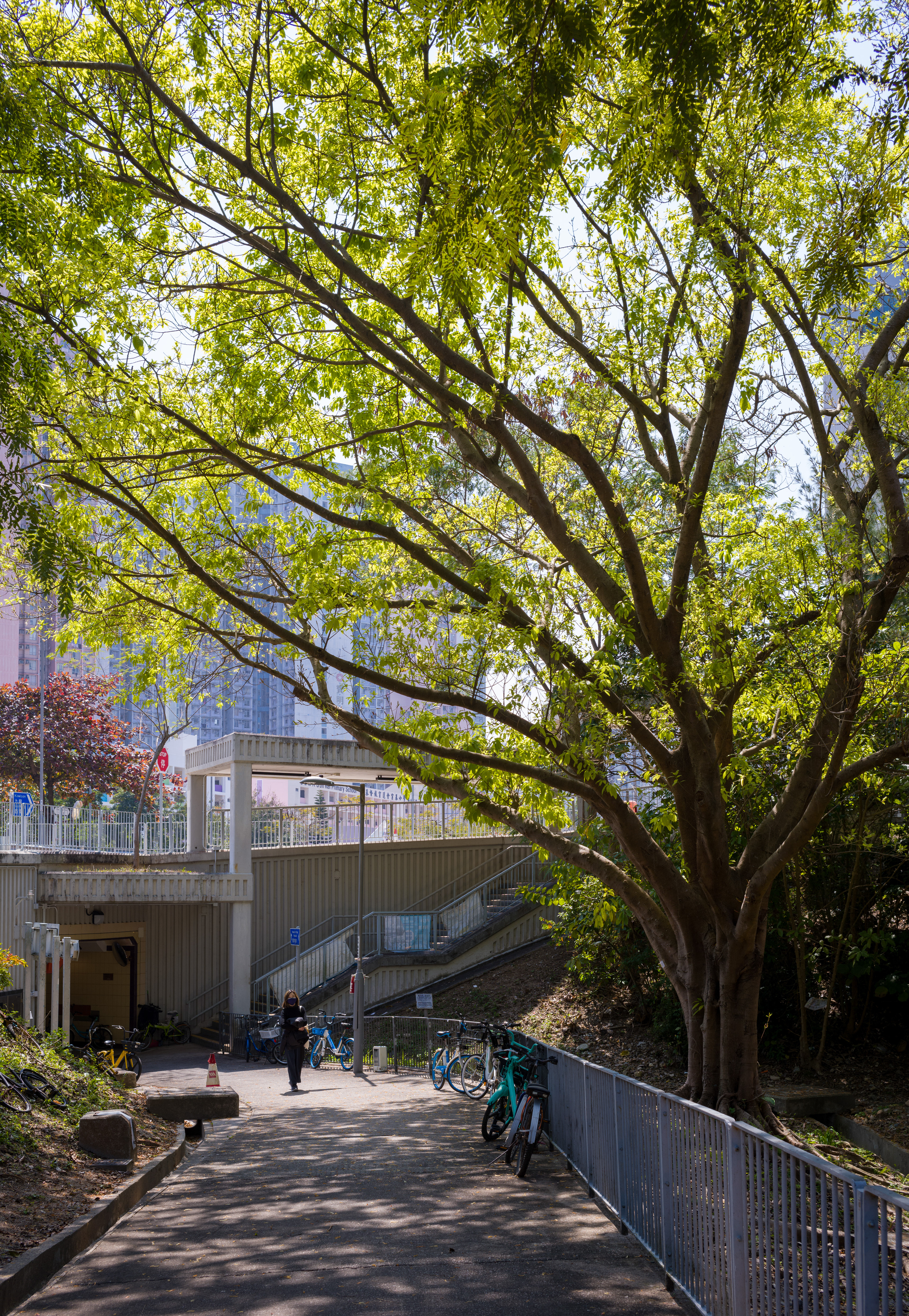 Walking with my wife in the warm sunshine [LEICA M11, LEICA Summicron-M 35mm f/2 ASPH]