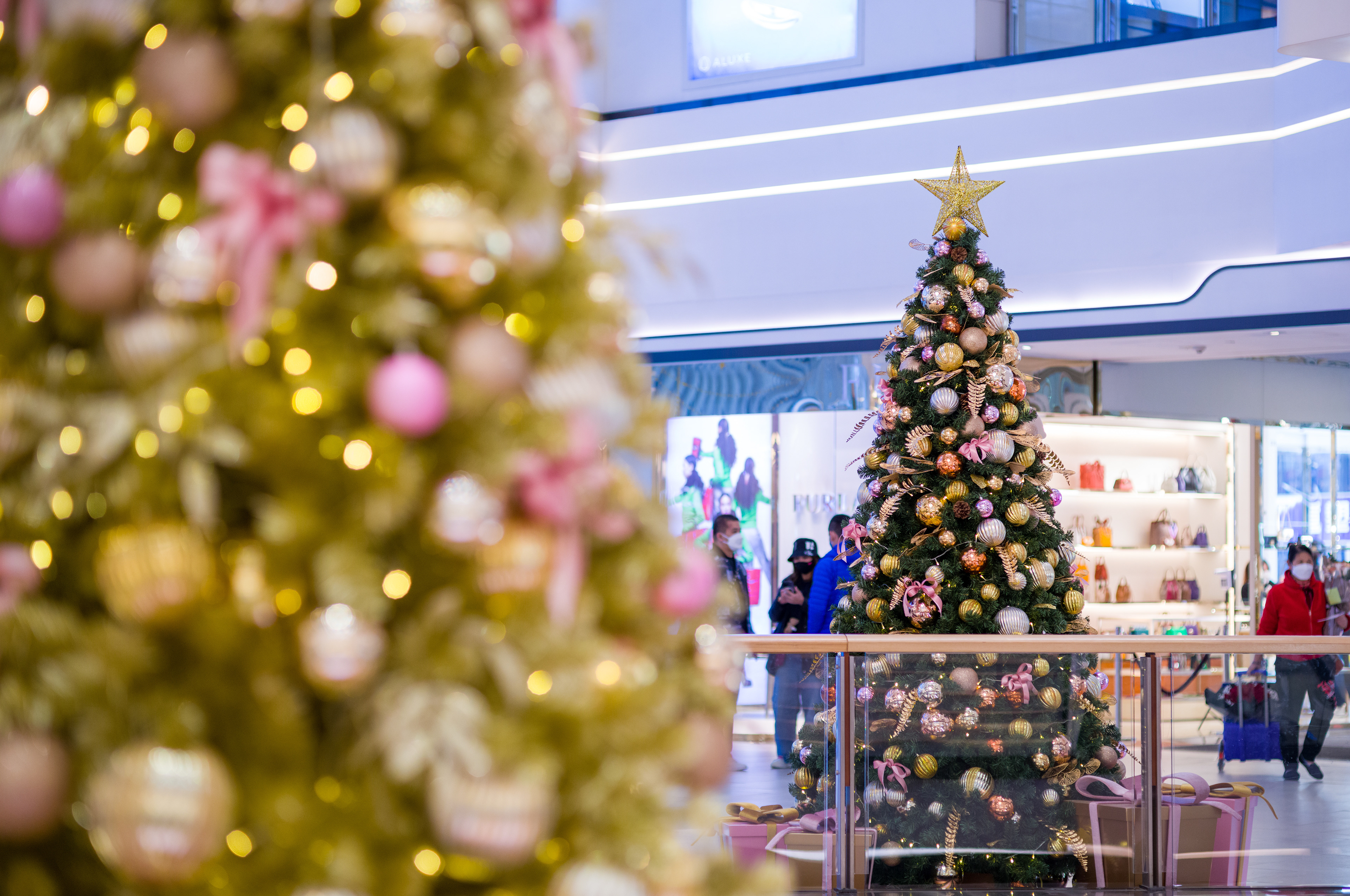 X'mas is coming to town [LEICA M11, Voigtlander Nokton 75mm f/1.5 Aspherical]