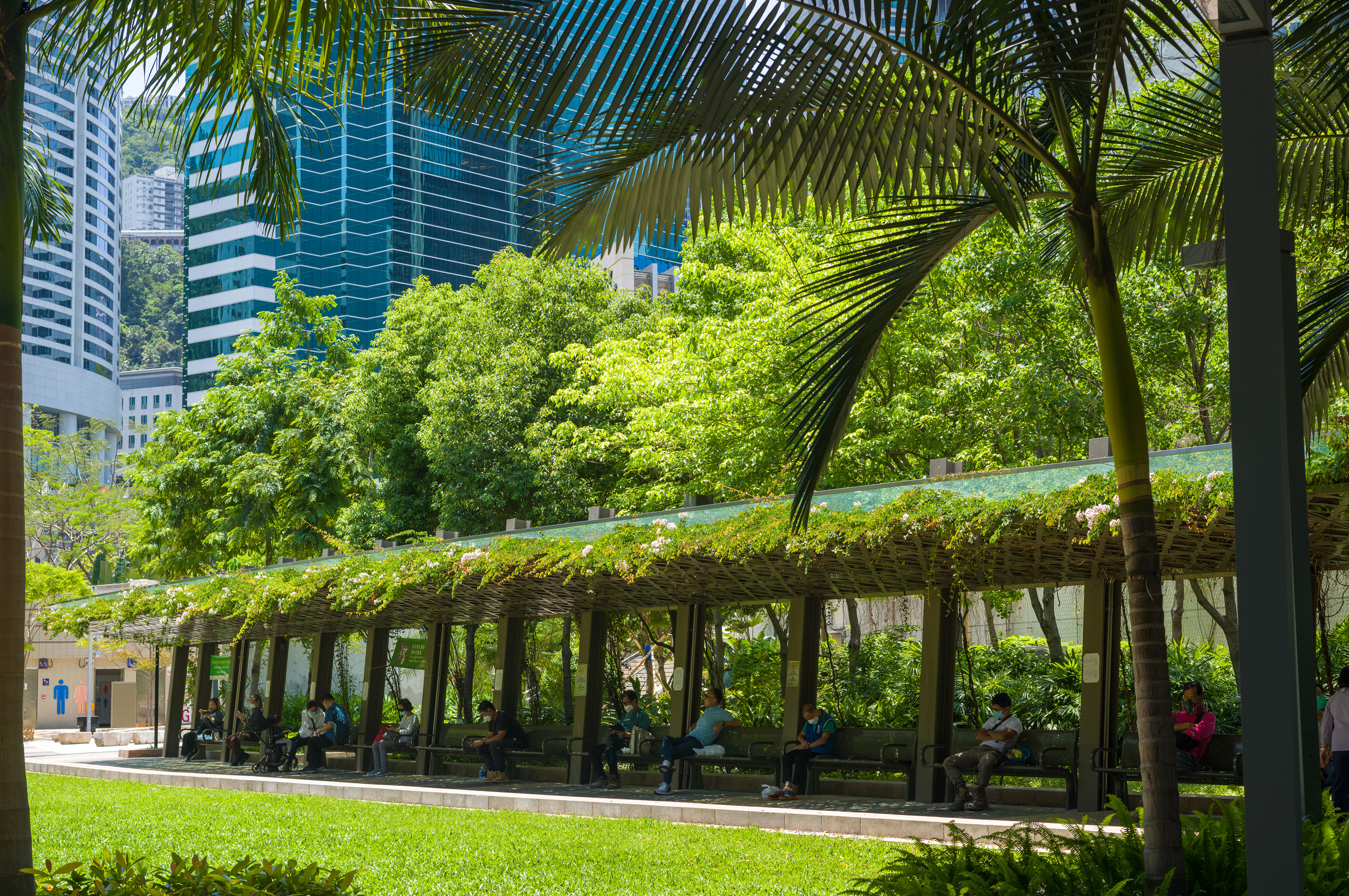 [LEICA M11, LEICA SUMMICRON 50mm f/2 Rigid]