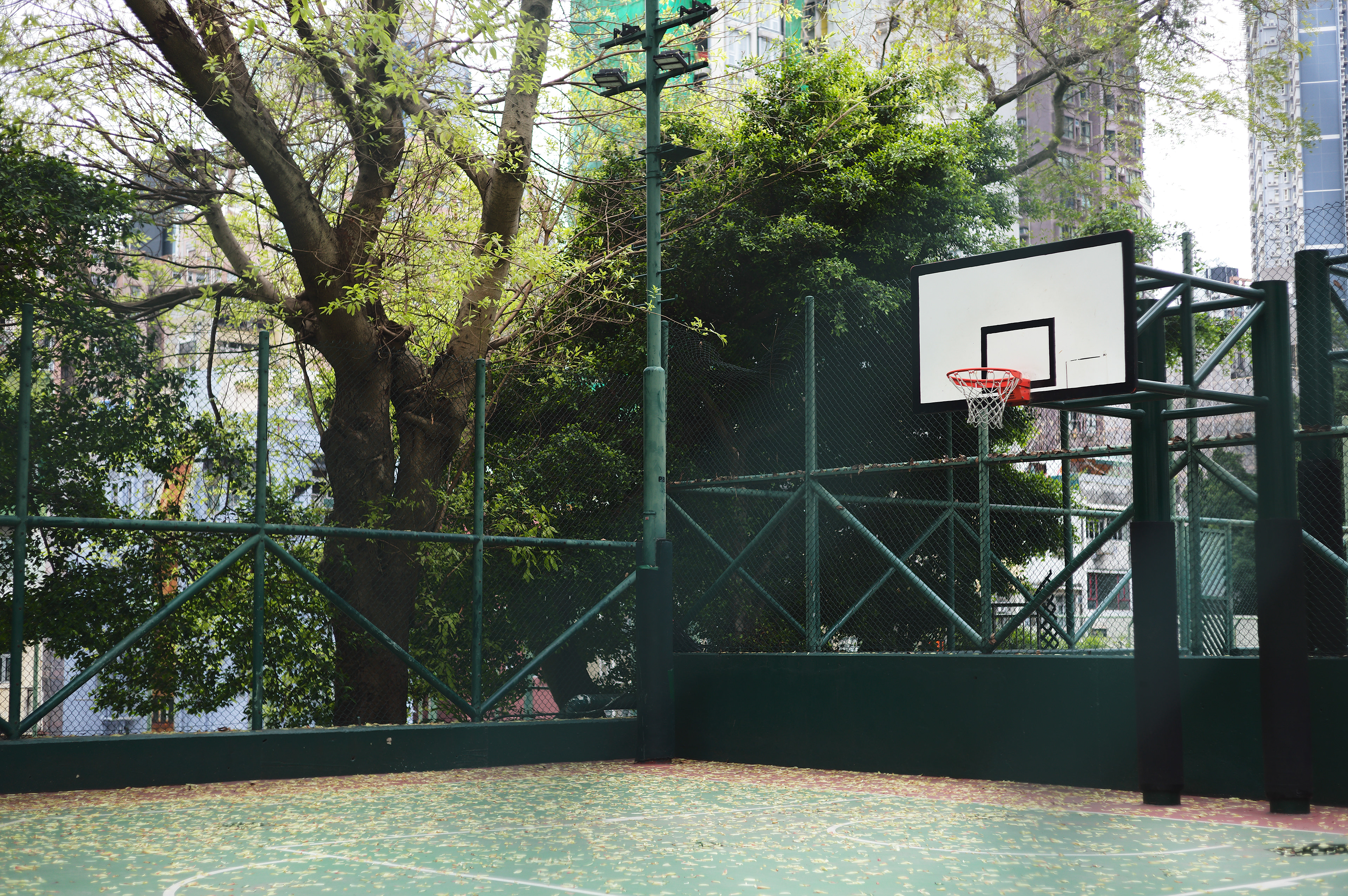 [LEICA M11, LEICA SUMMICRON 50mm f/2 Rigid]