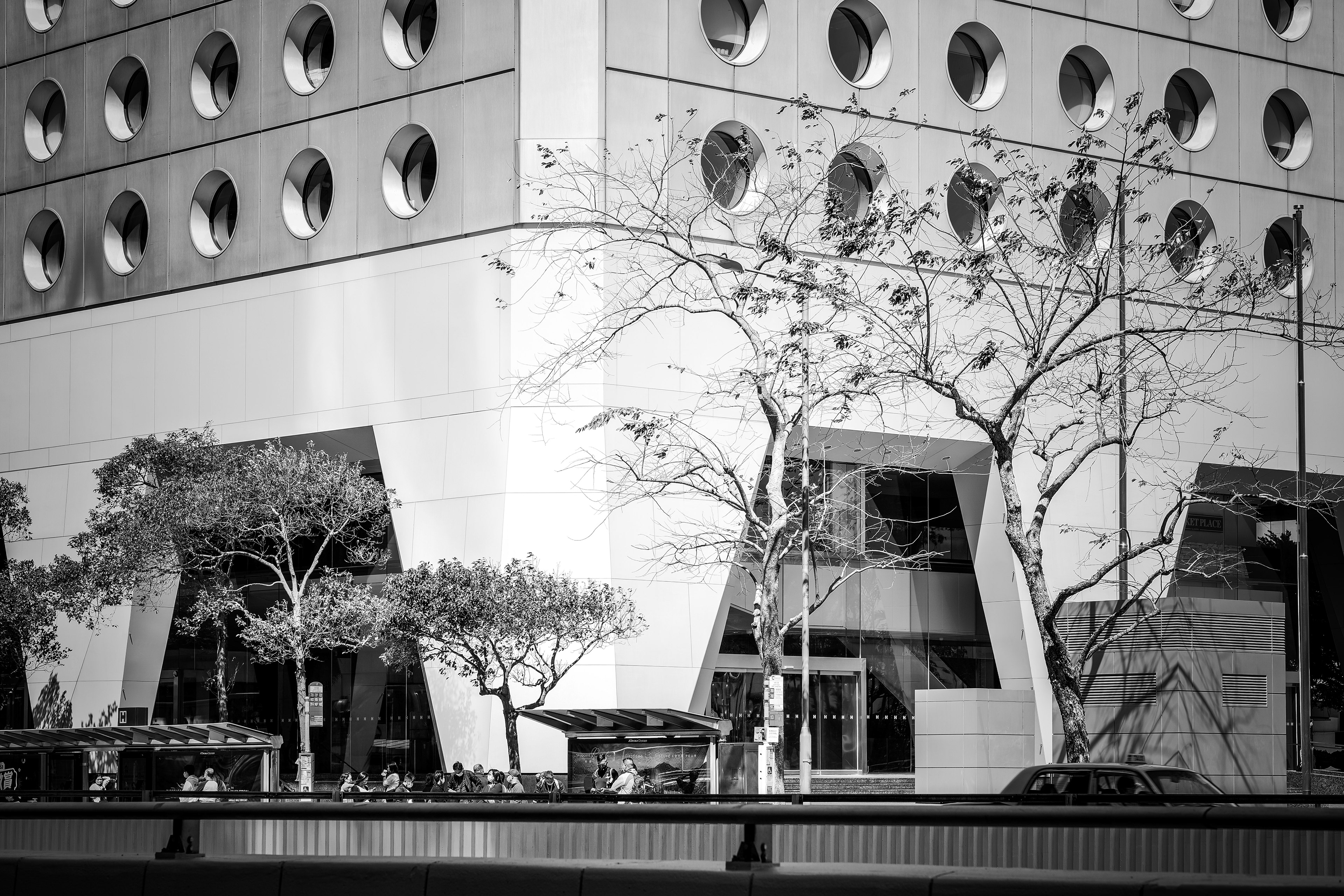 Two pairs of genes [Panasonic LUMIX DC-S5, Sigma 85mm F1.4 DG DN | Art 020]