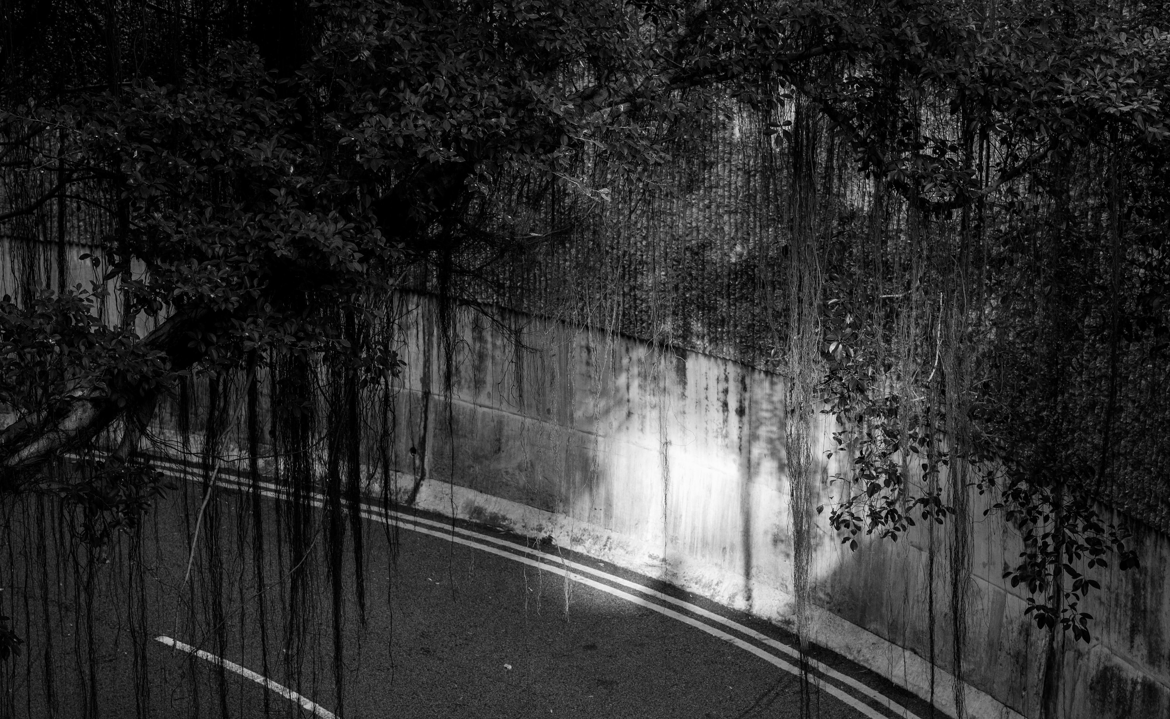 Found this location few days ago, it's a great place to take Rapha-like photo for commercial advertisement. [Panasonic LUMIX DC-S5, Sigma 85mm F1.4 DG DN | Art 020]