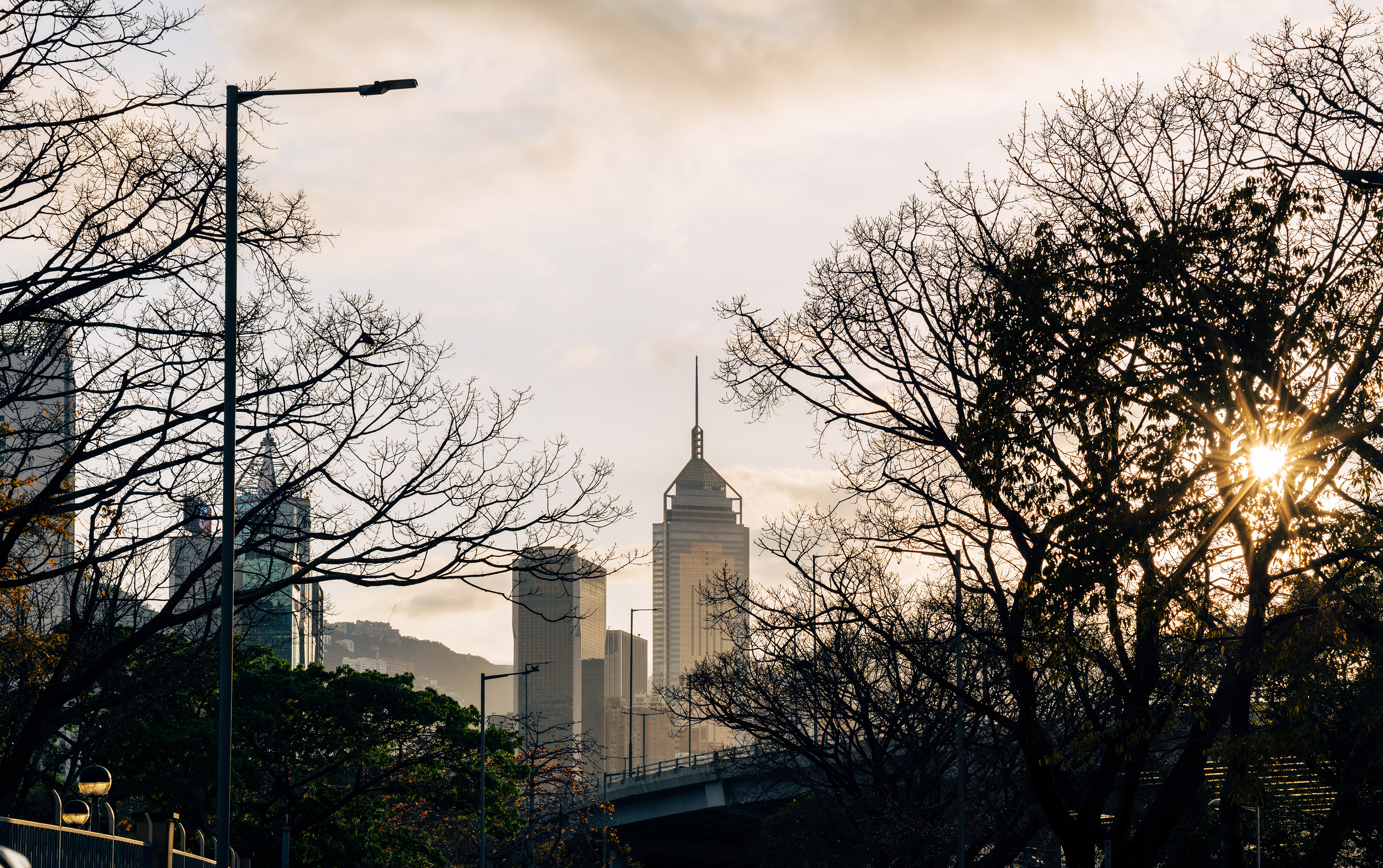 This place is so attractive that I have to take pictures every time I pass by. [LEICA M11, Voigtlander Nokton 75mm f/1.5 Aspherical]