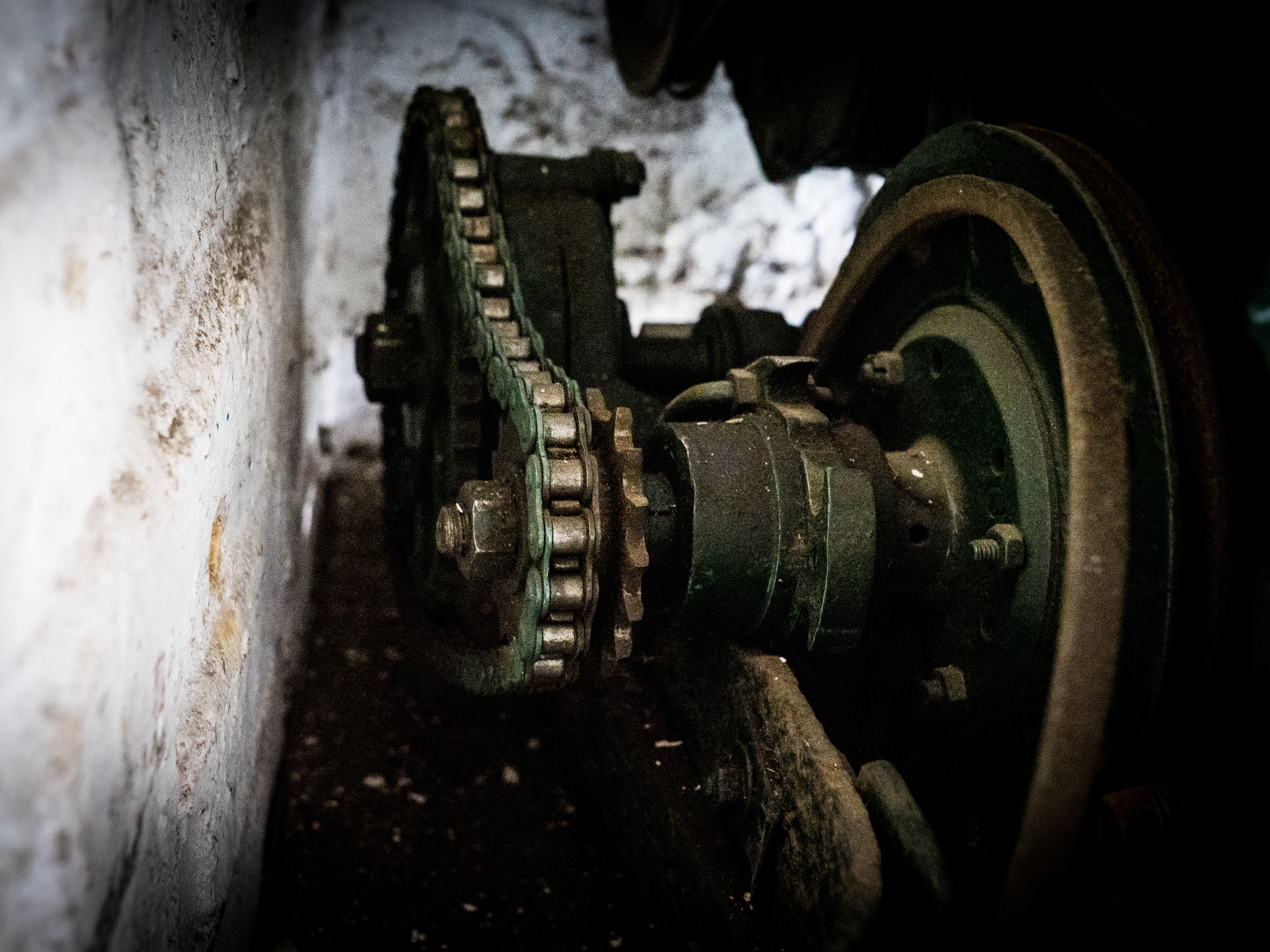 Tool shed