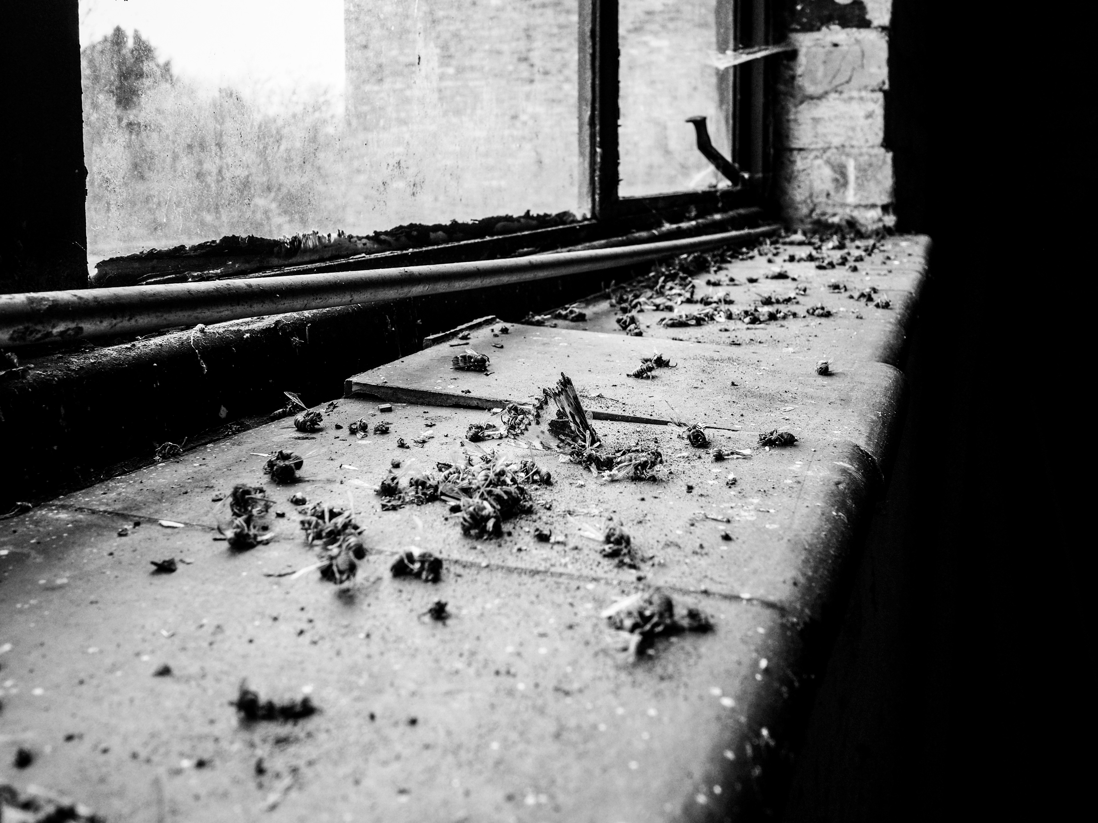 First floor rear window