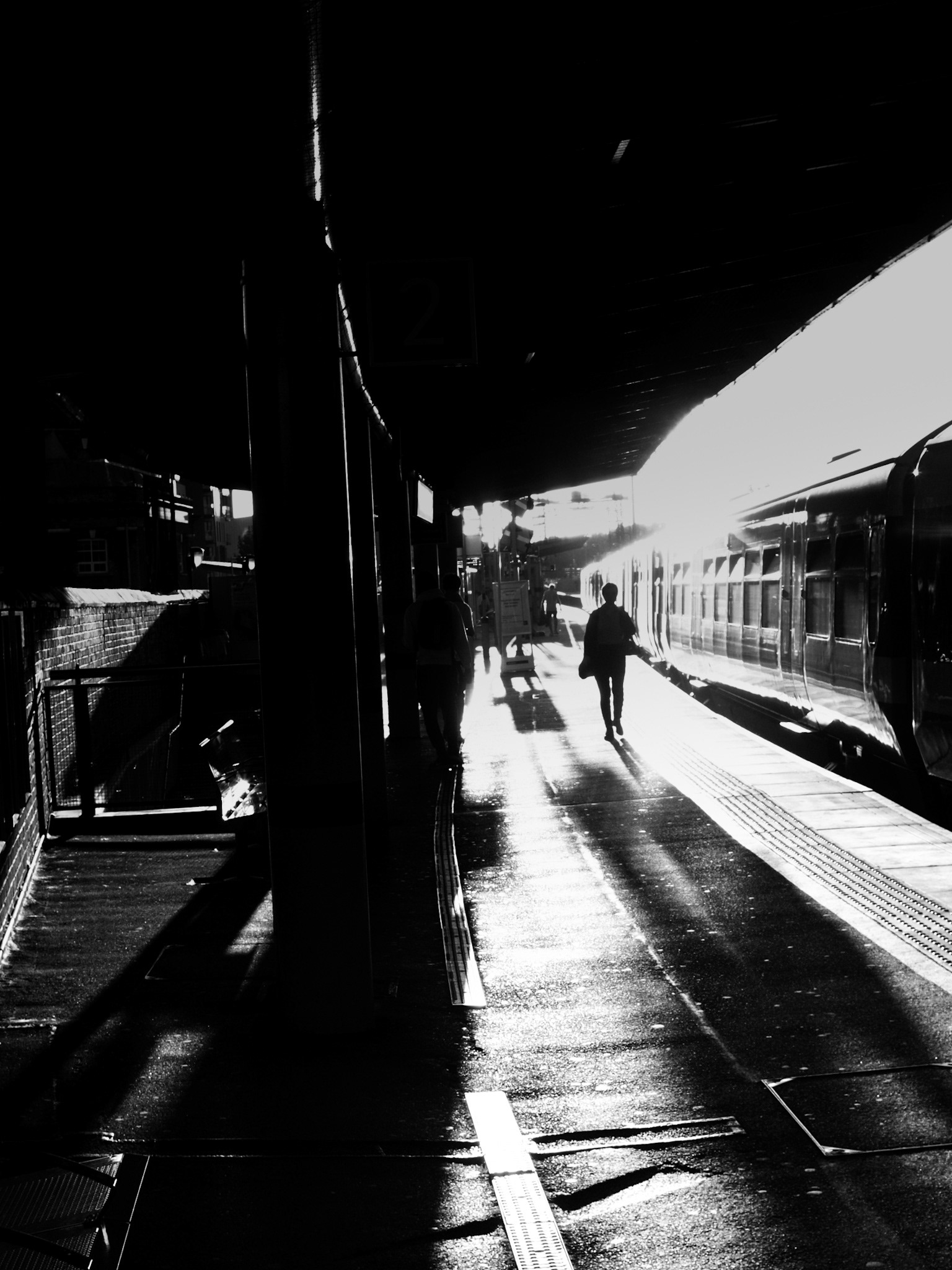 Evening Train