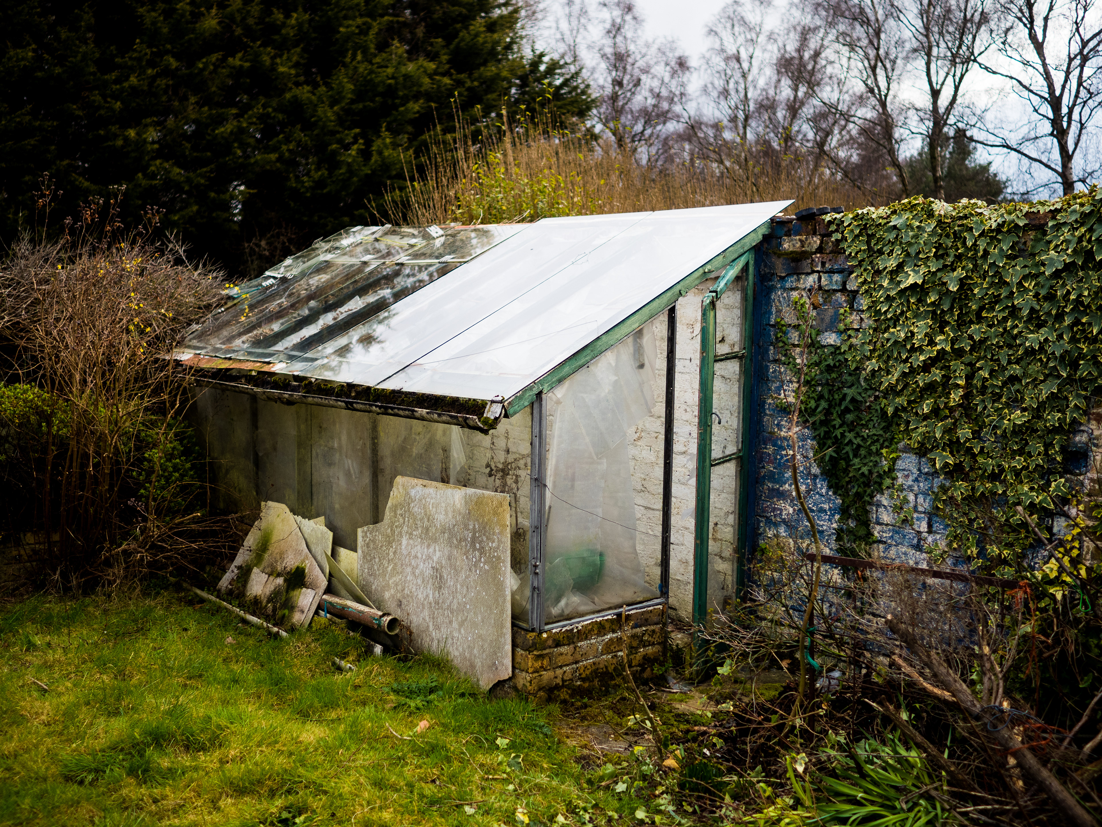 Green House