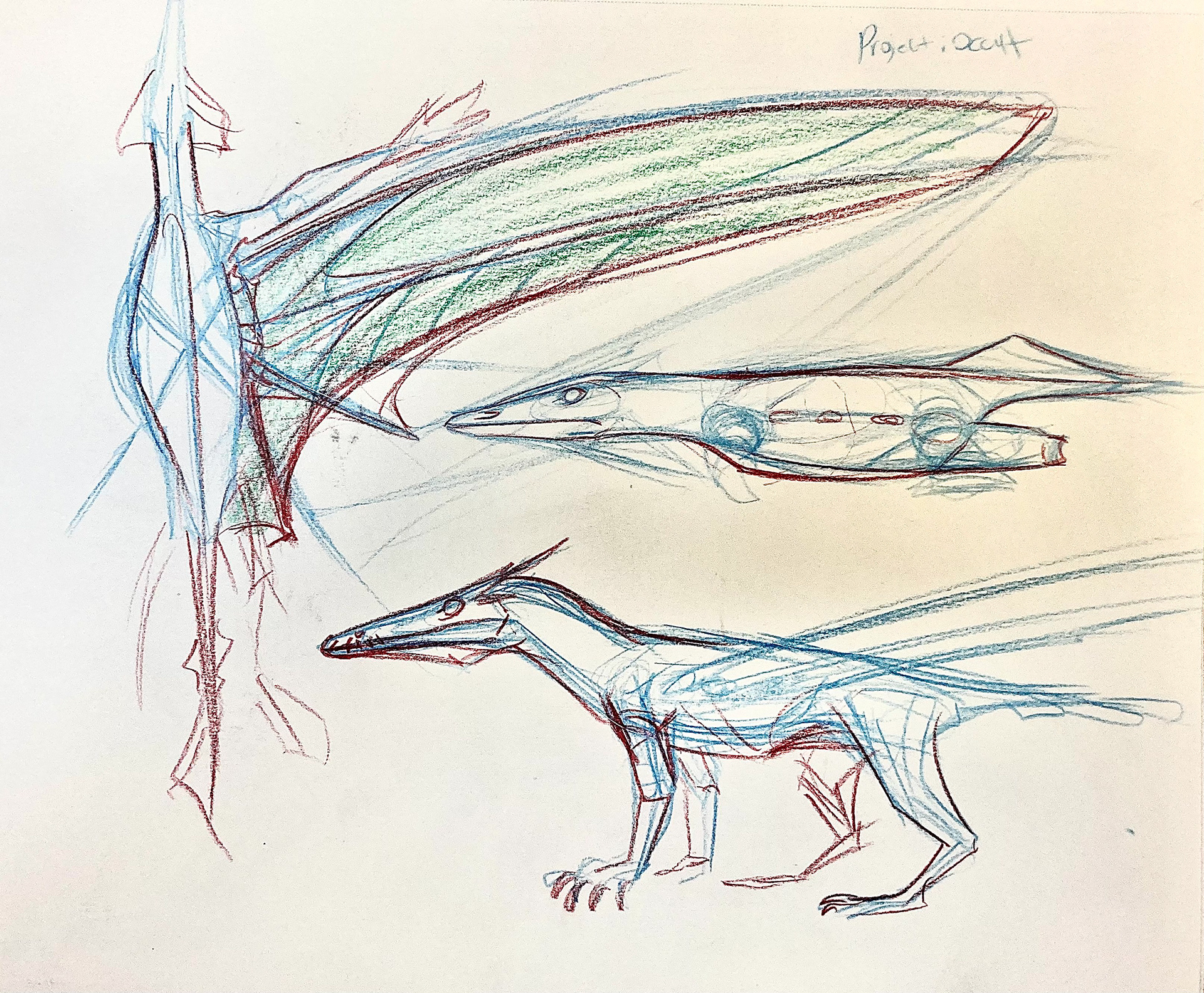 PROJECT: SYNCHRONICITY STUDIES-GLIDING GECKON 2