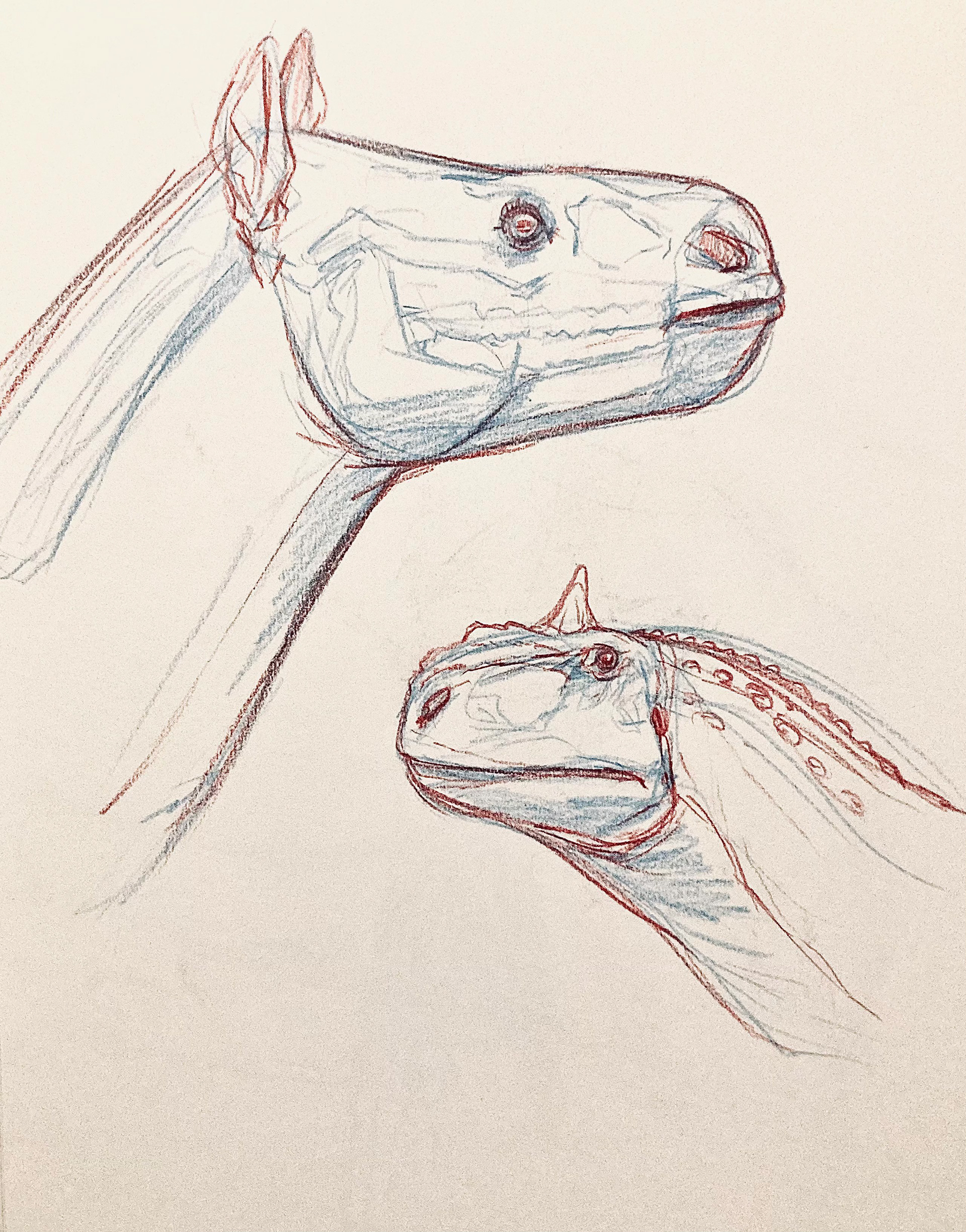 PALEOART STUDIES 5