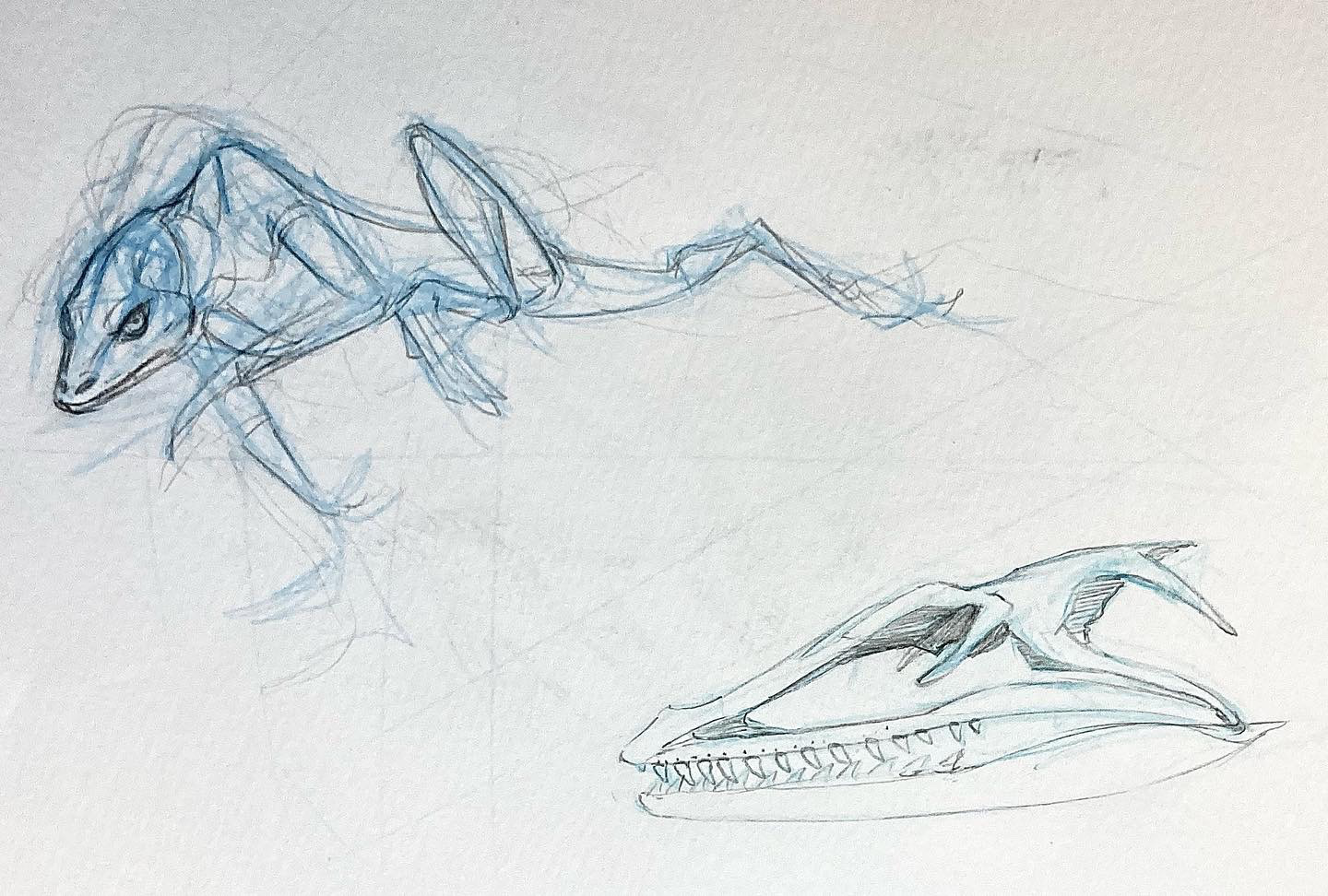 PROJECT: SYNCHRONICITY STUDIES-ARROW FROG 2