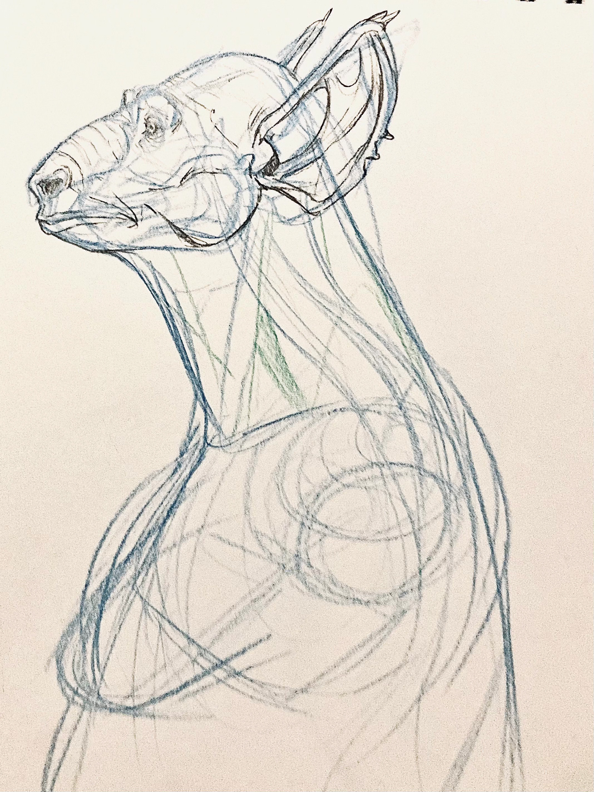PROJECT: OCCULT STUDIES-BROHEMOTH (POST-HUMAN ANIMAL) 2