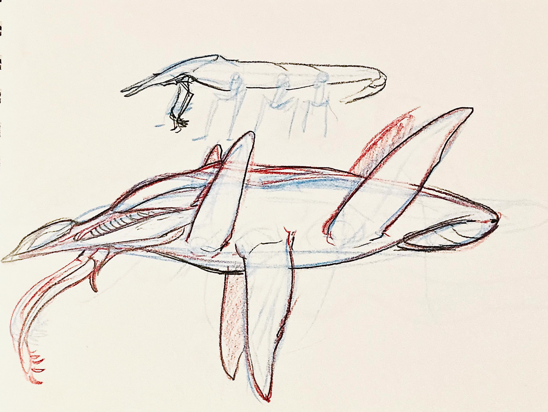 PROJECT: QUARRY STUDIES-NYMPH & SCUTTLE