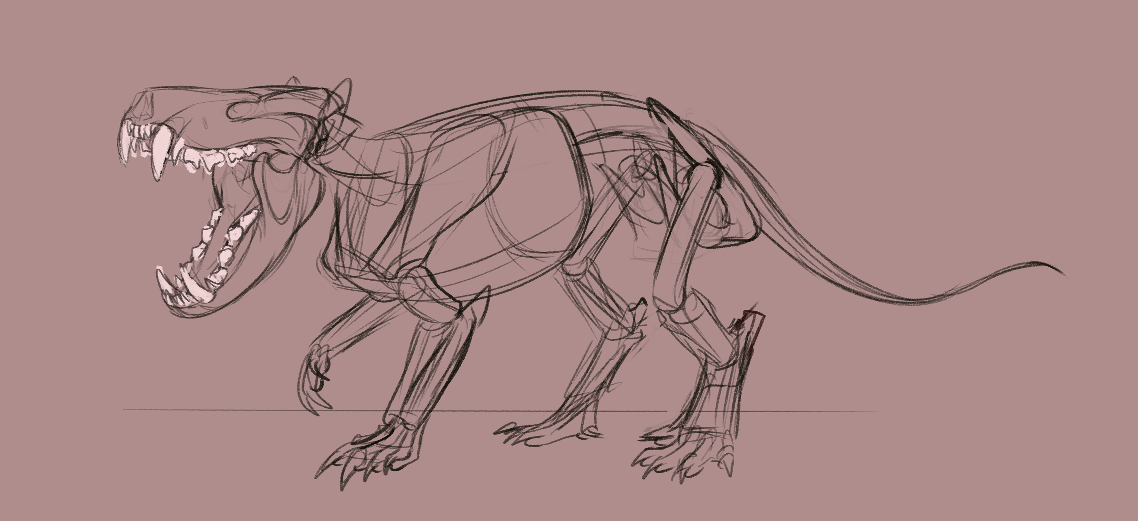 ANATOMICAL 1