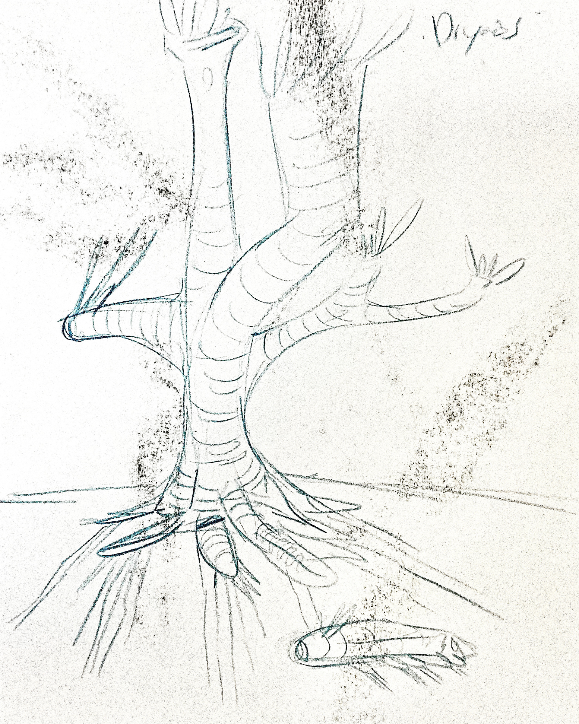 PROJECT: QUARRY STUDIES-DRYAD 1