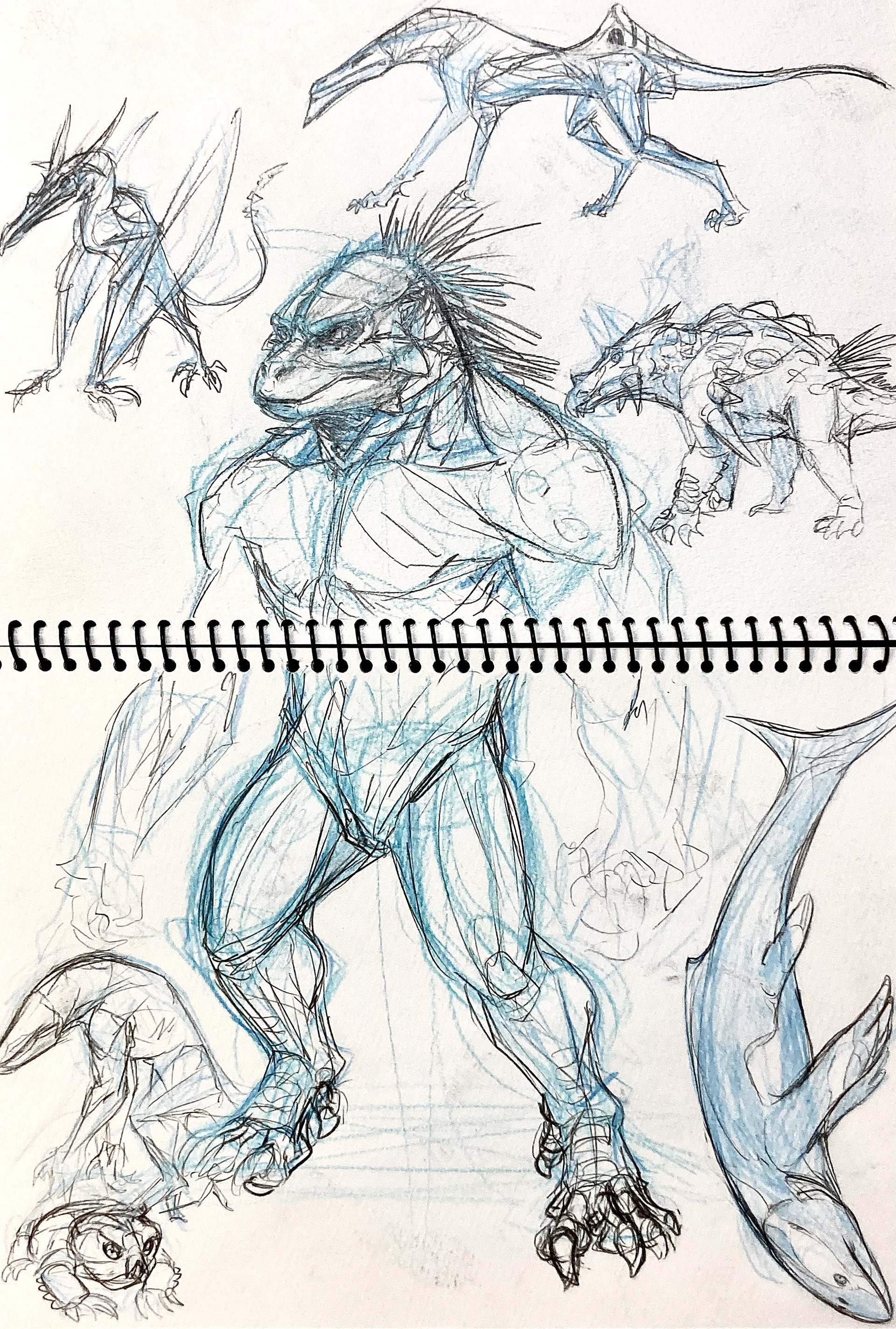 PROJECT: APEX STUDIES-PRIMAL 3