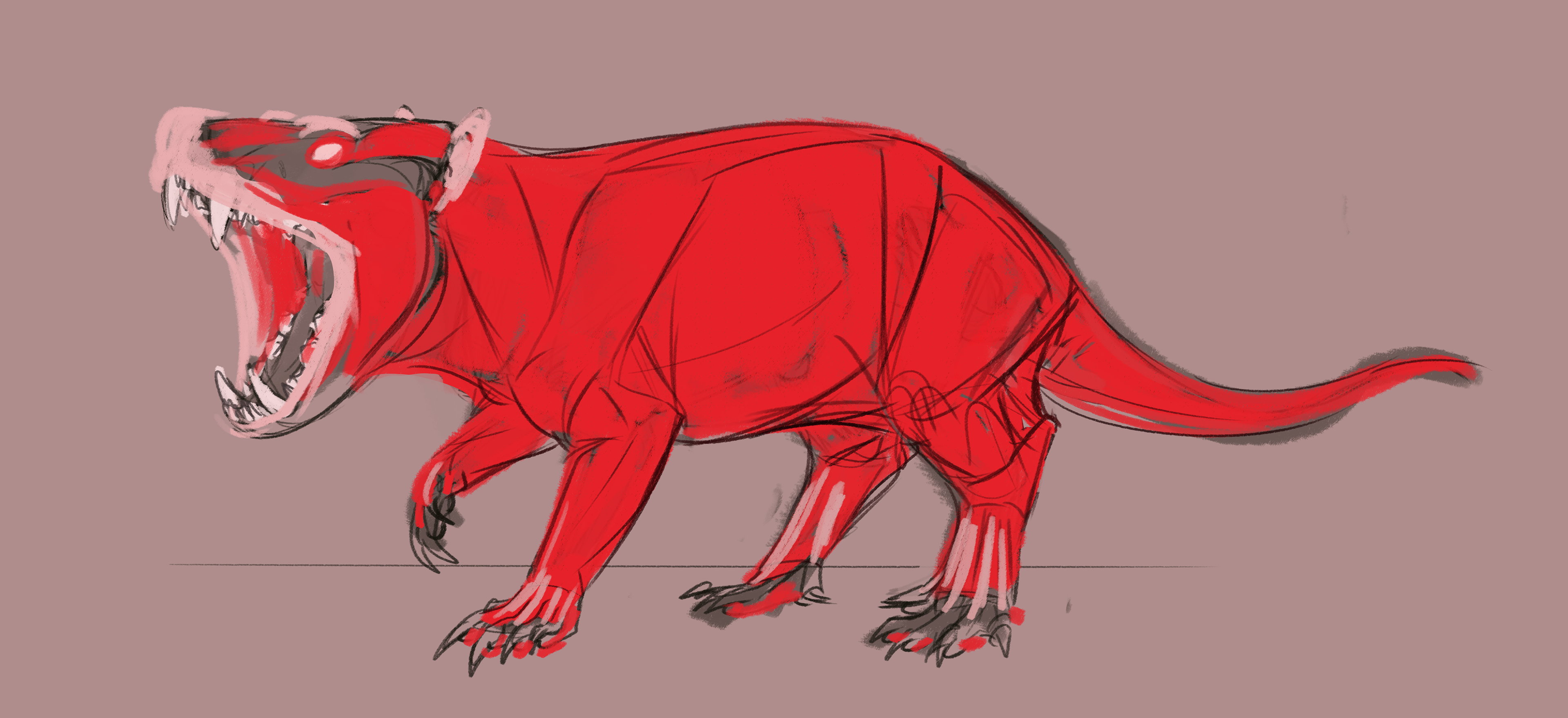 ANATOMICAL 2