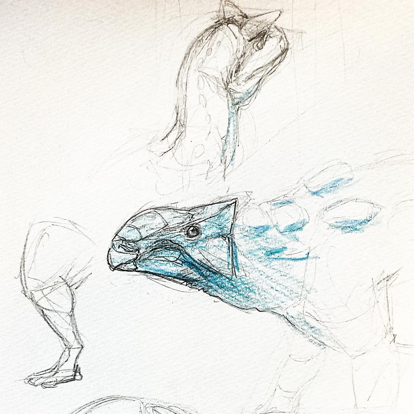 PALEOART STUDIES 1