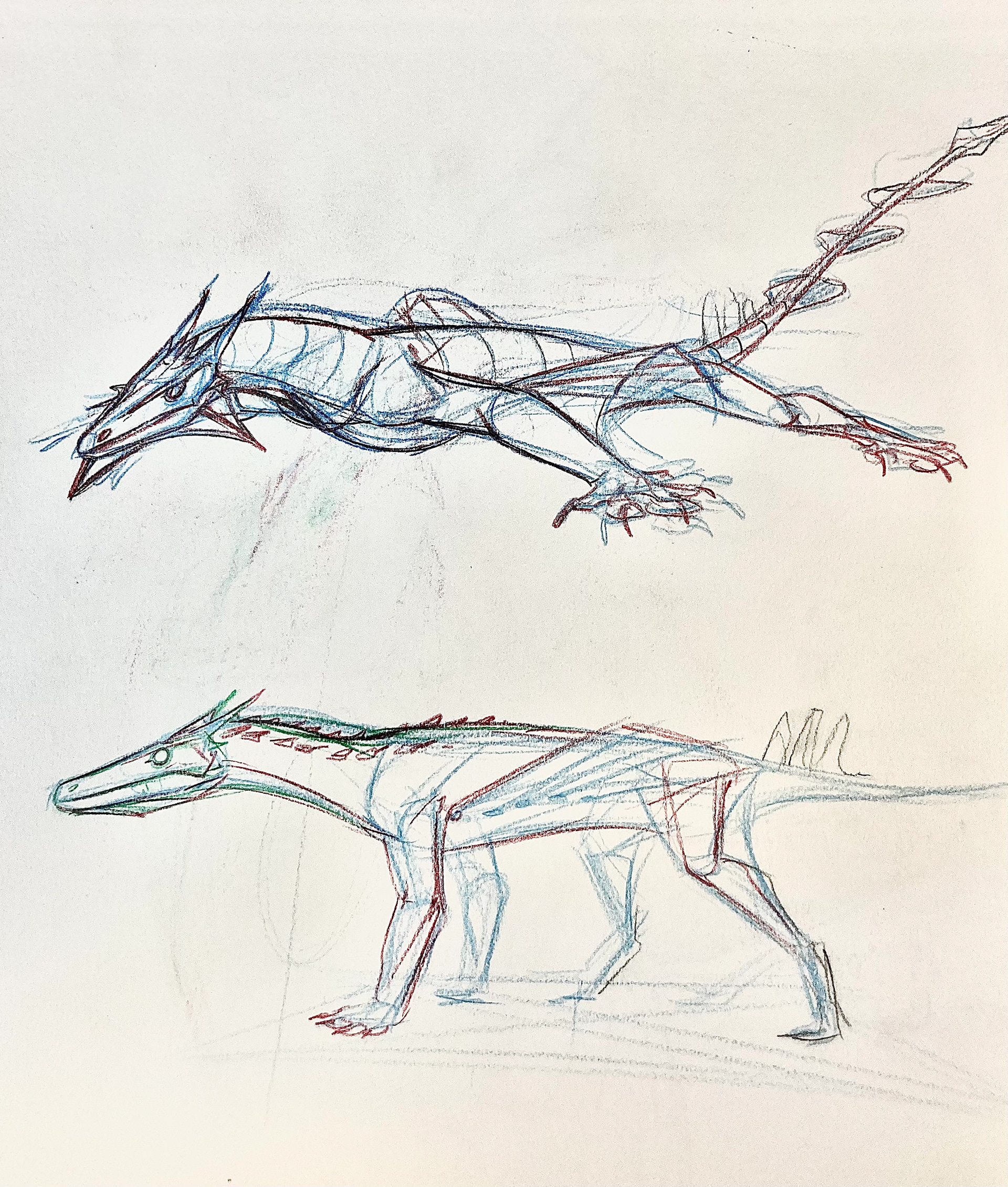 PROJECT: SYNCHRONICITY STUDIES-GLIDING GECKON 1