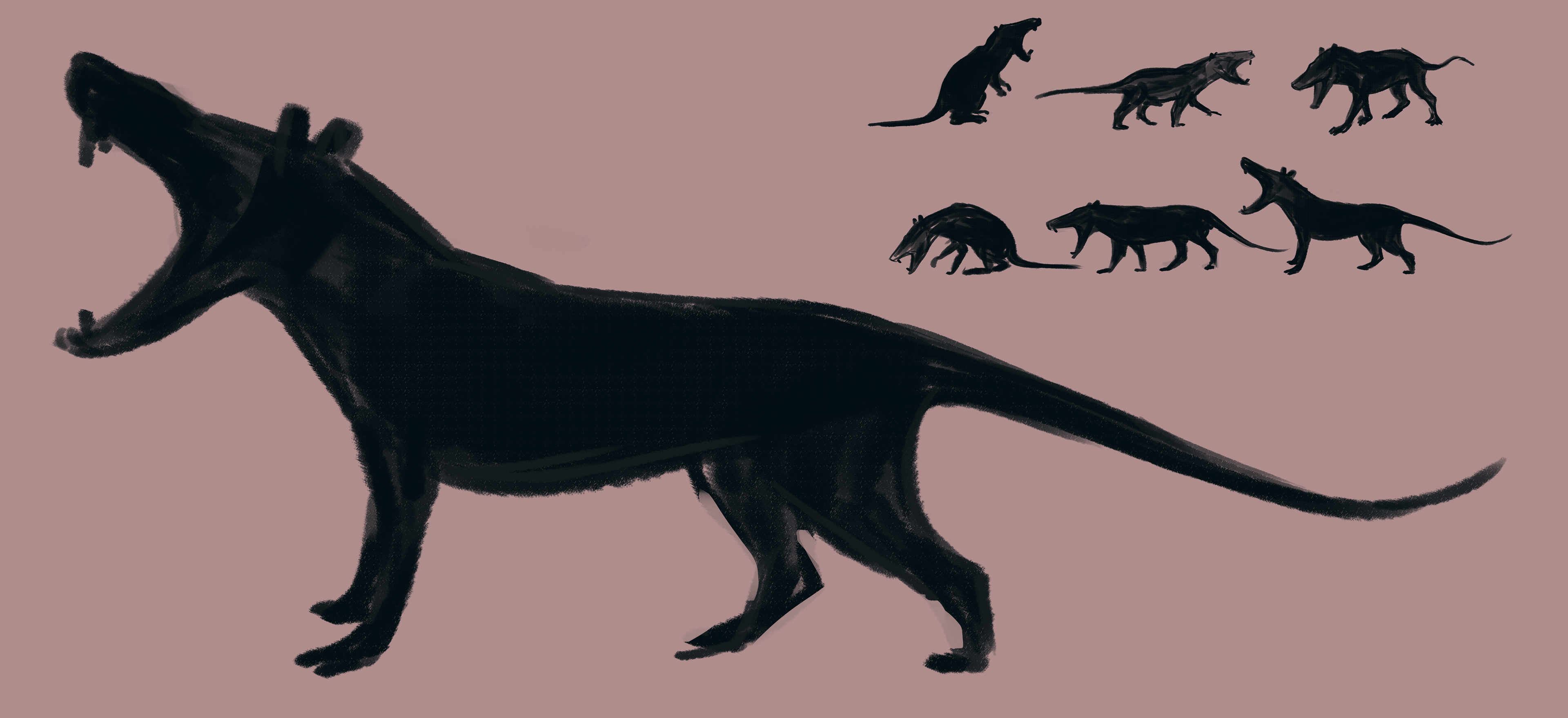 SHAPE STUDY