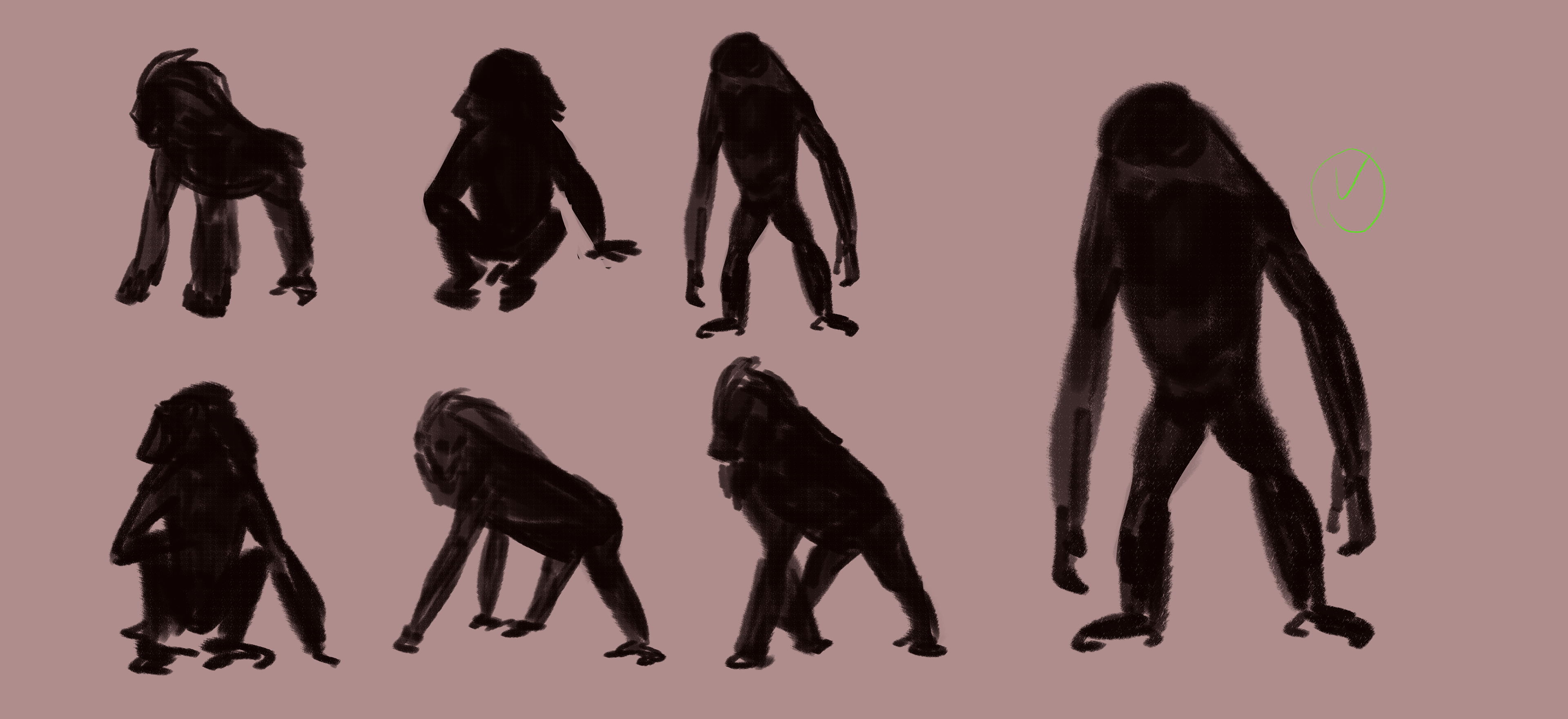 SHAPE STUDY