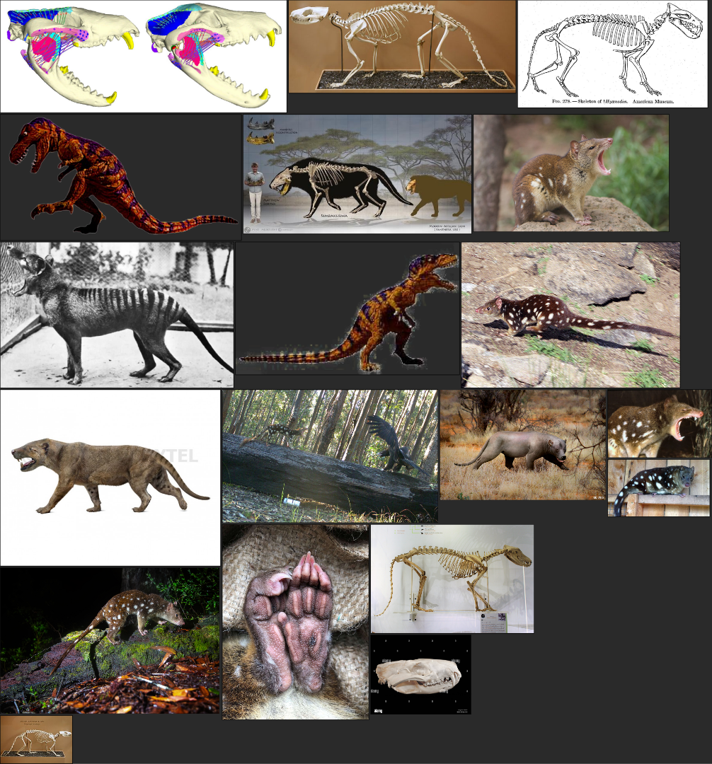 REFERNCE MATERIALS