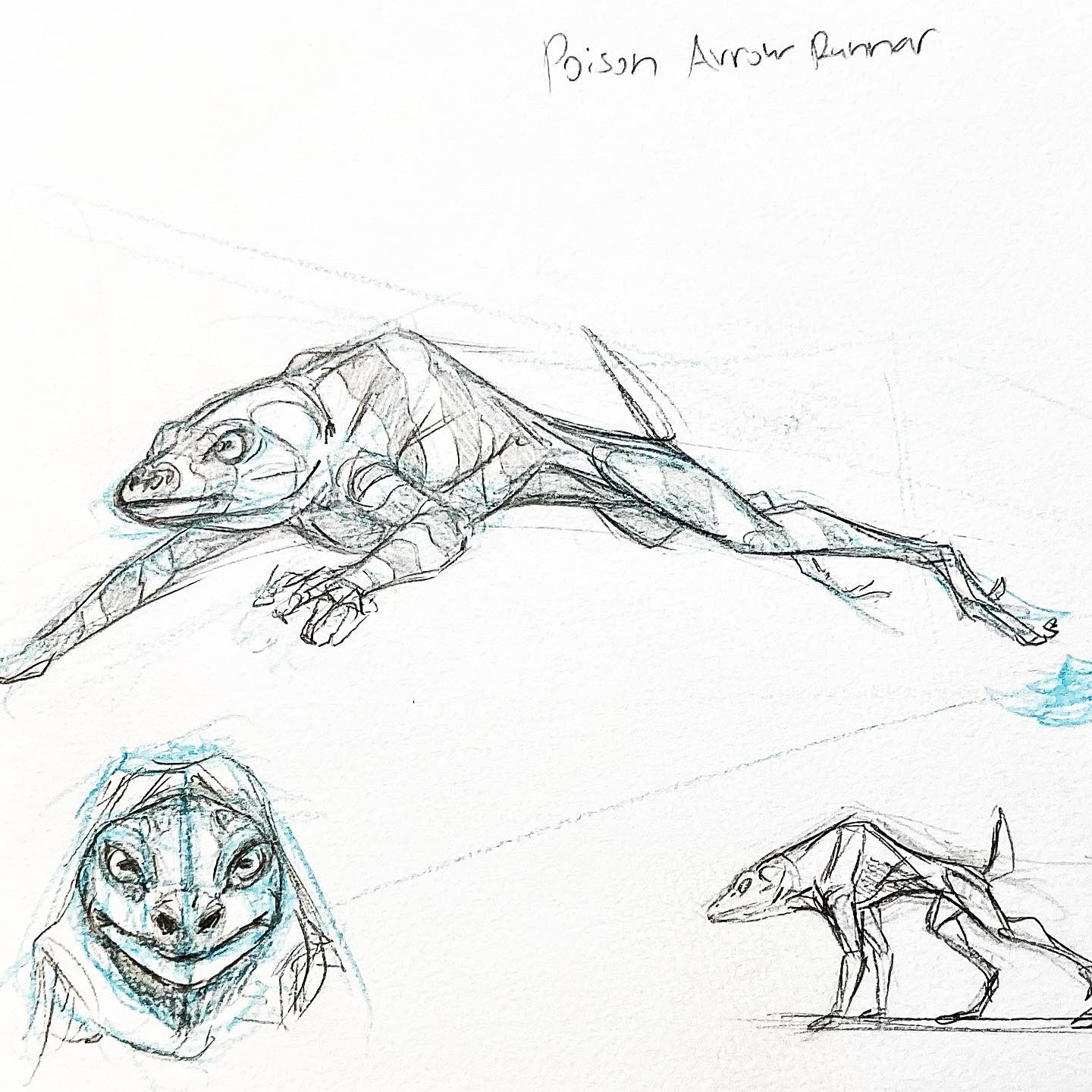 PROJECT: SYNCHRONICITY STUDIES-ARROW FROG 1