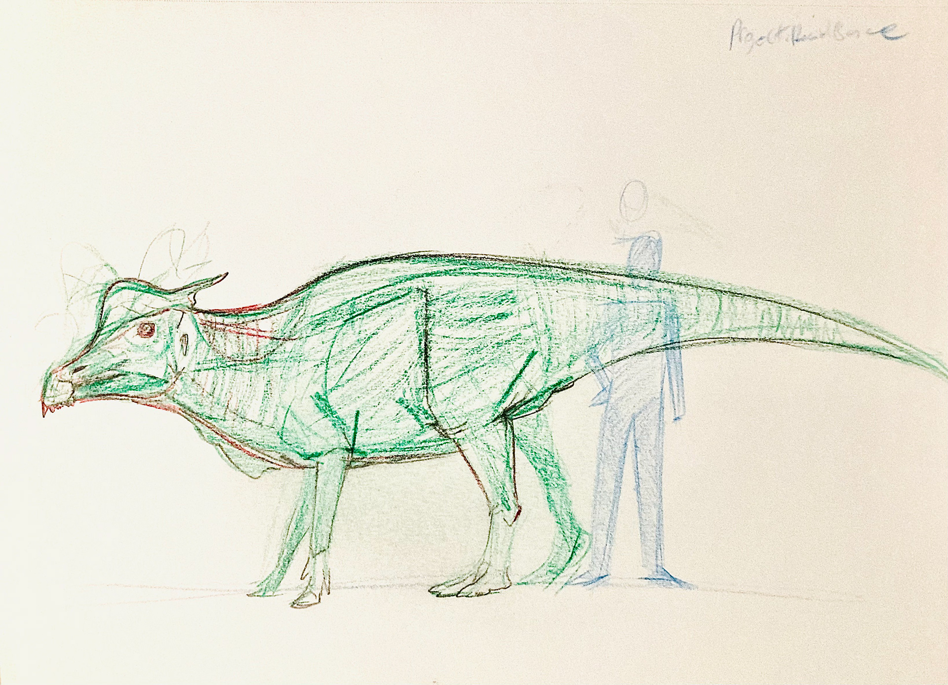 PALEOART STUDIES 6