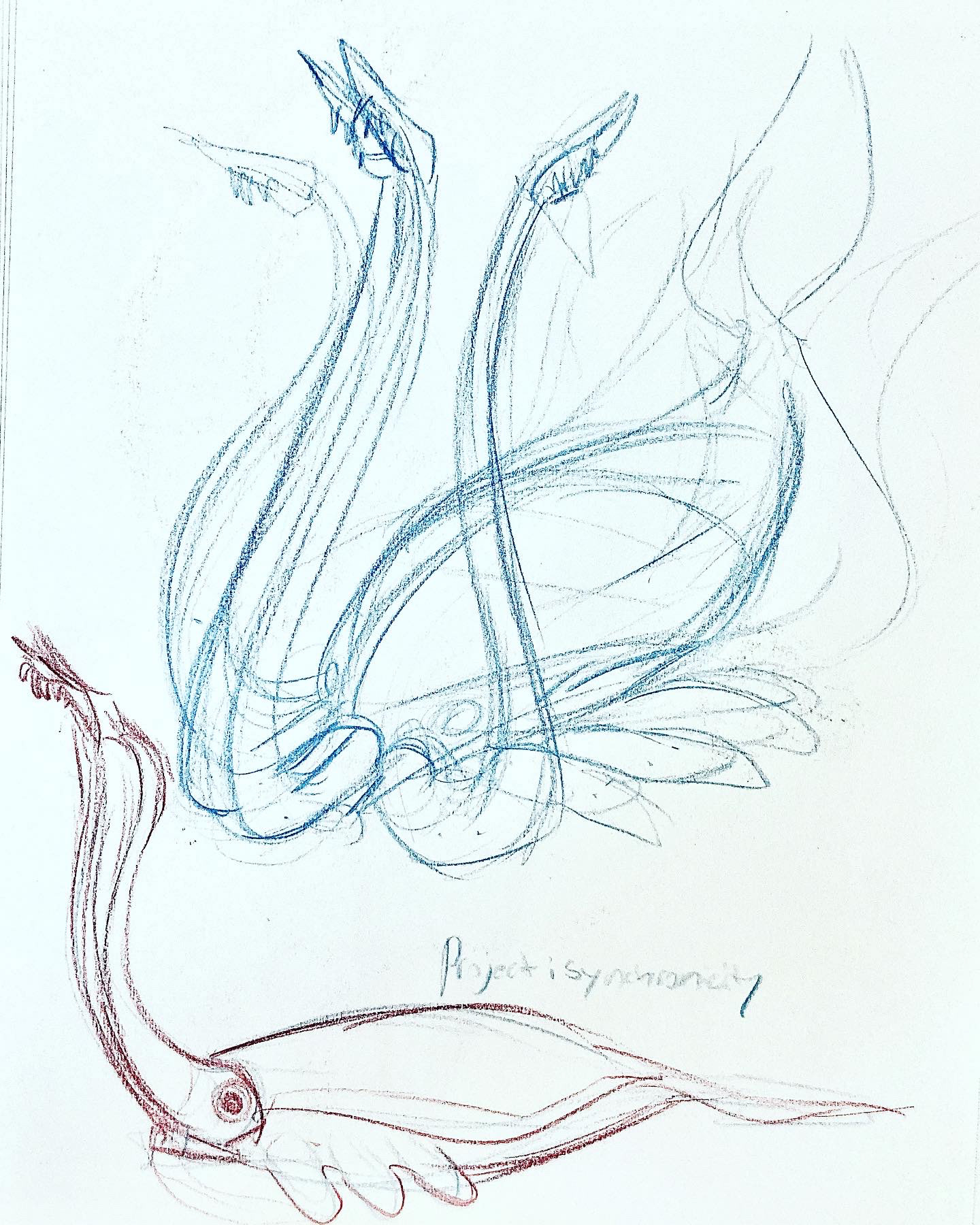 PROJECT: SYNCHRONICITY STUDIES-TITAN CUTTLEFISH