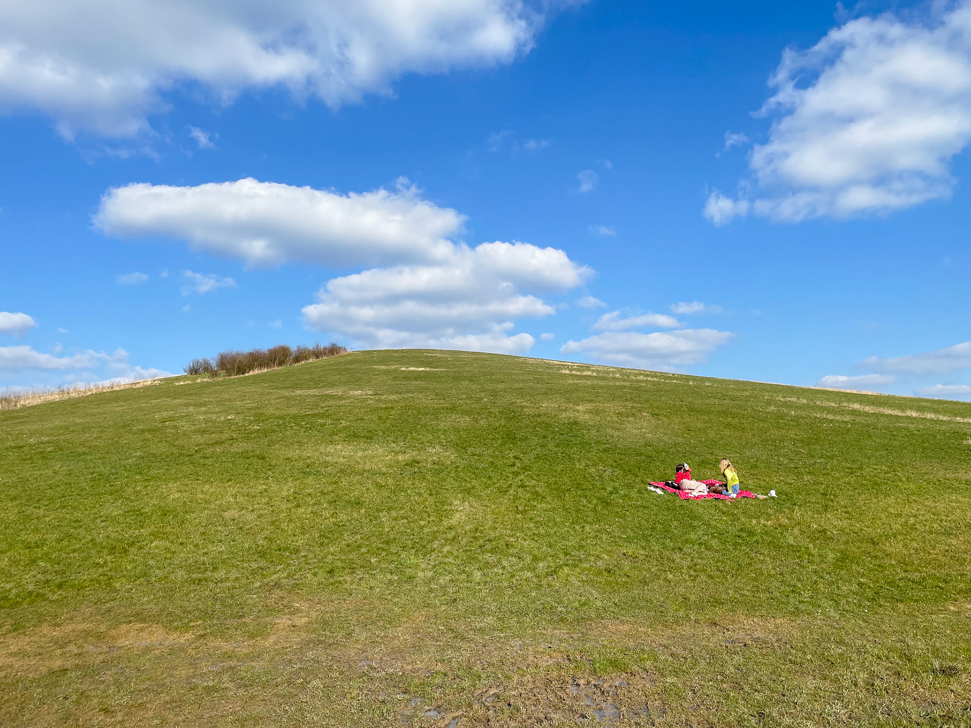 De bult van Putman (2022)