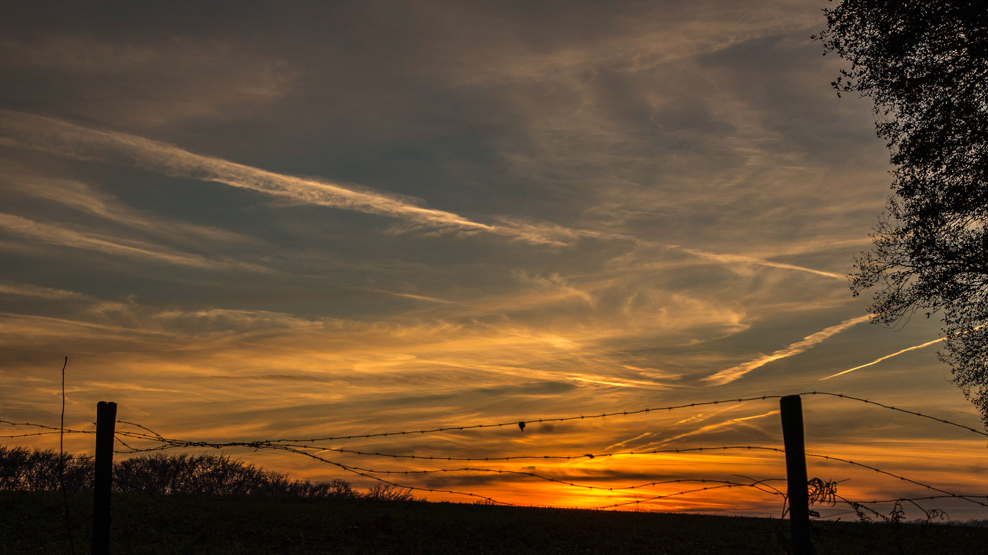 Arnhem Mariendaal (2016)