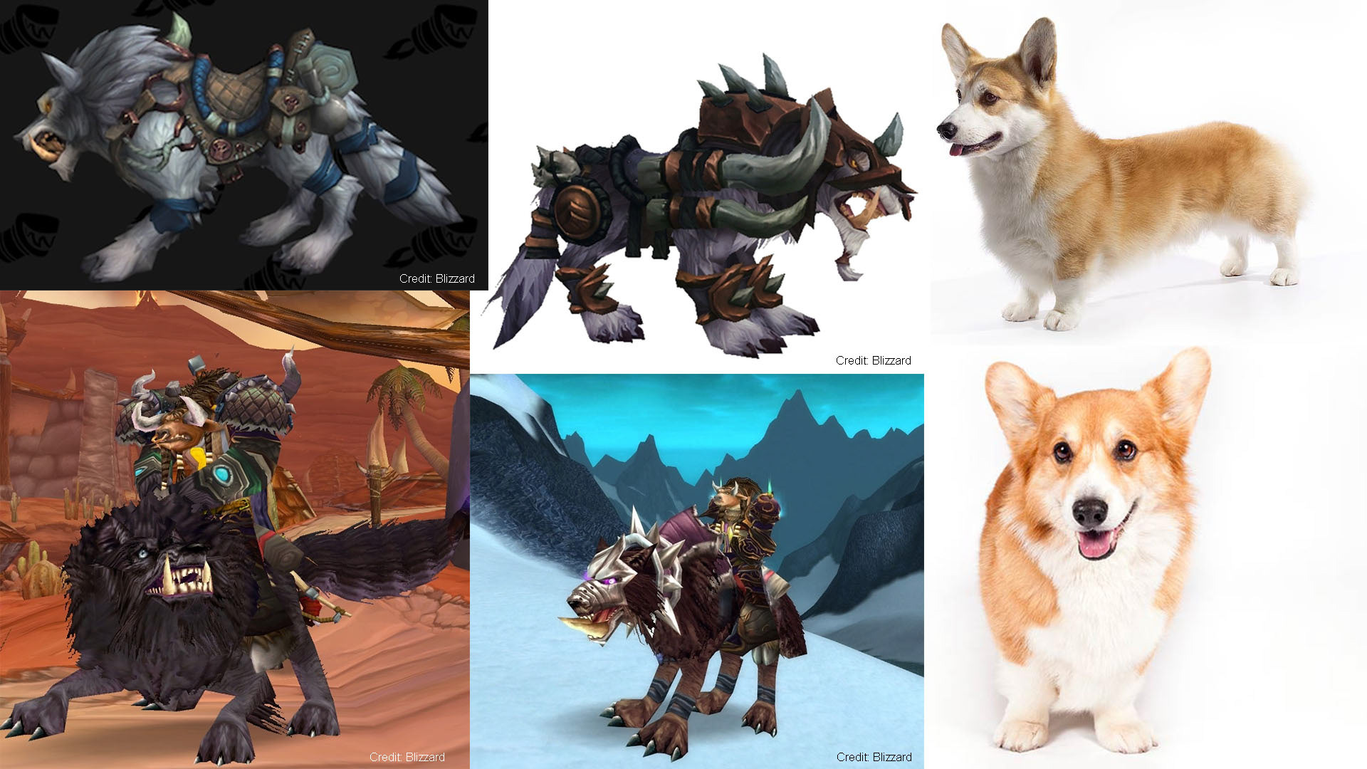 References