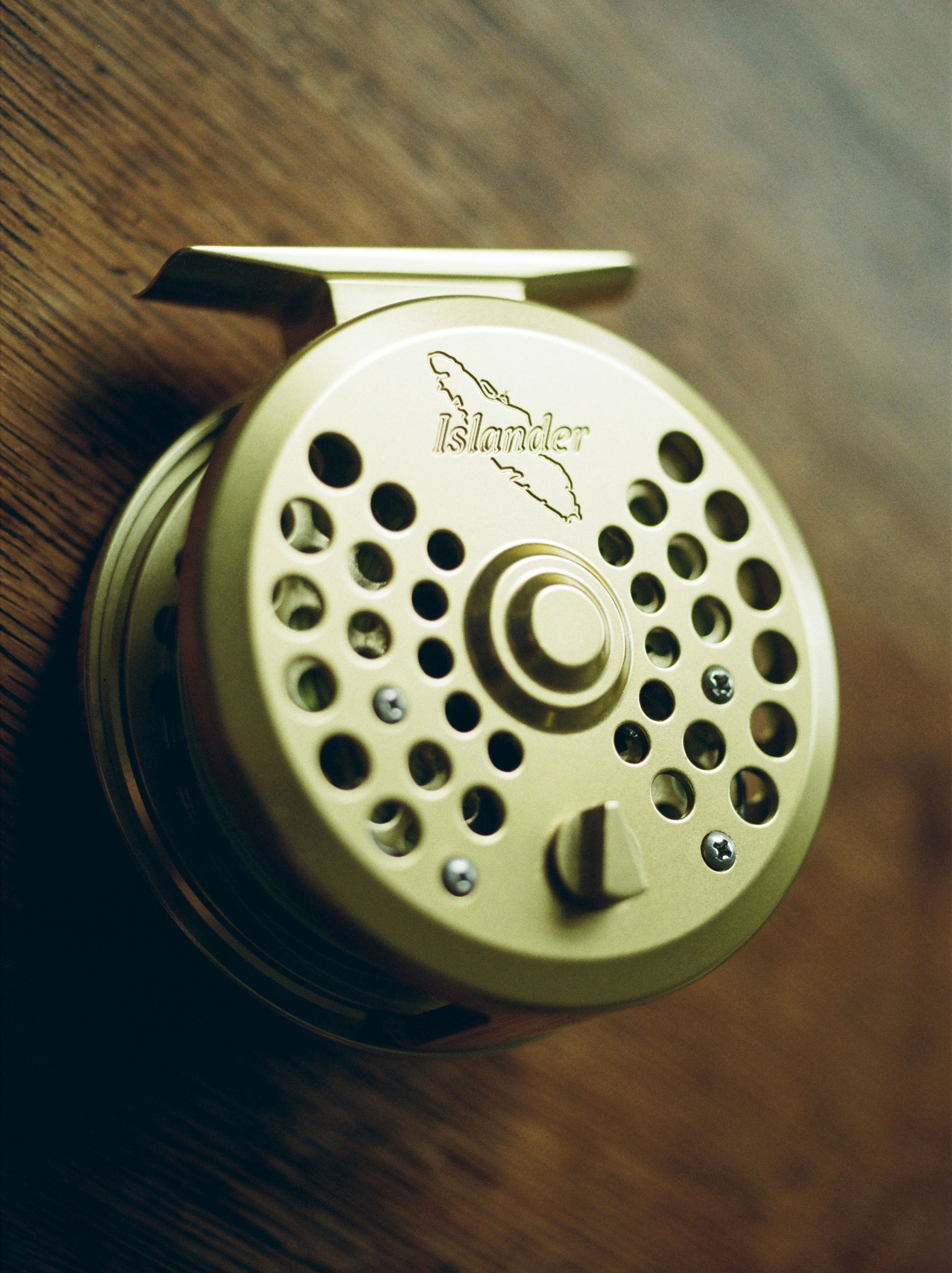 Islander Reels, Kodak Gold 200, Micro-Nikkor 55mm f/2.8, February 2025